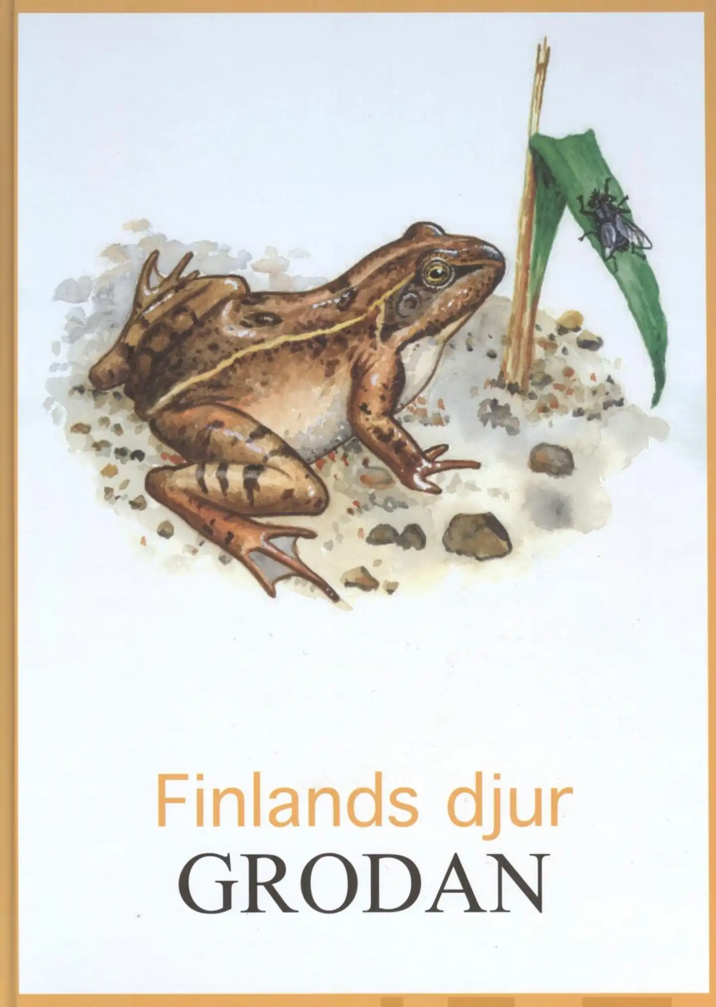 Grodan