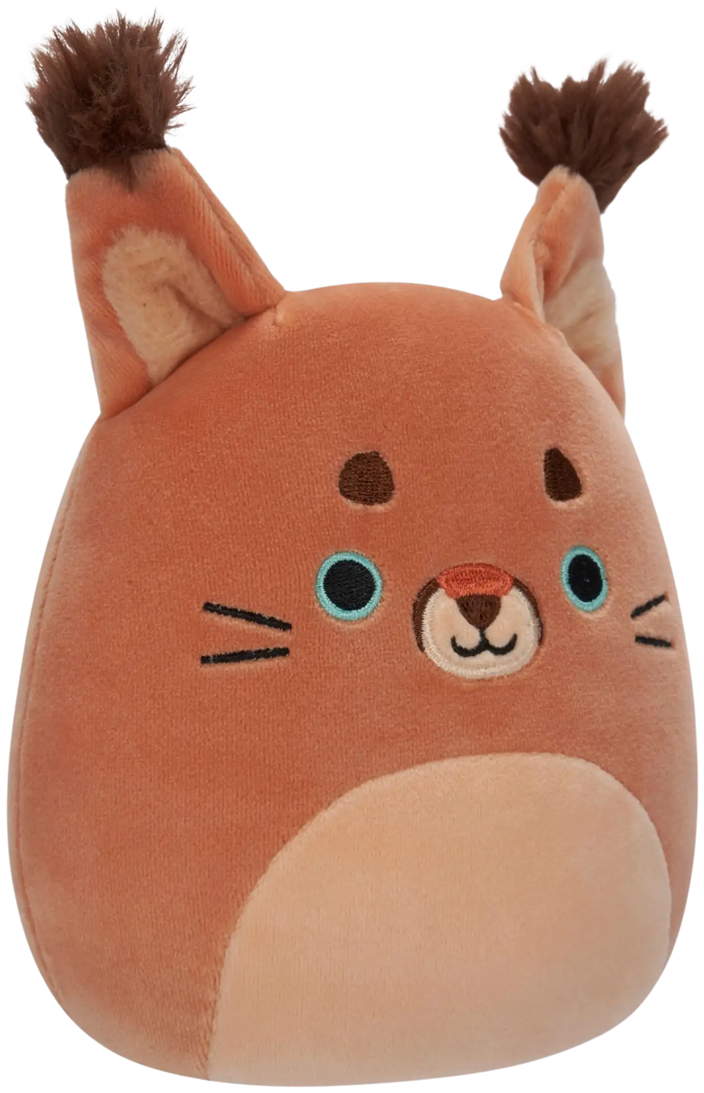 Squishmallows pehmolelu 19 cm P19 AC, erilaisia - 5