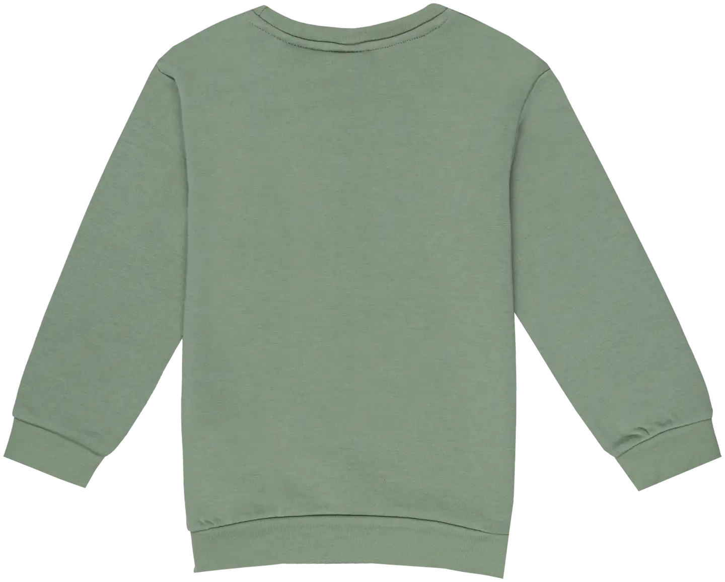 Ciraf lasten collegepusero 25PC260203 - Green - 2