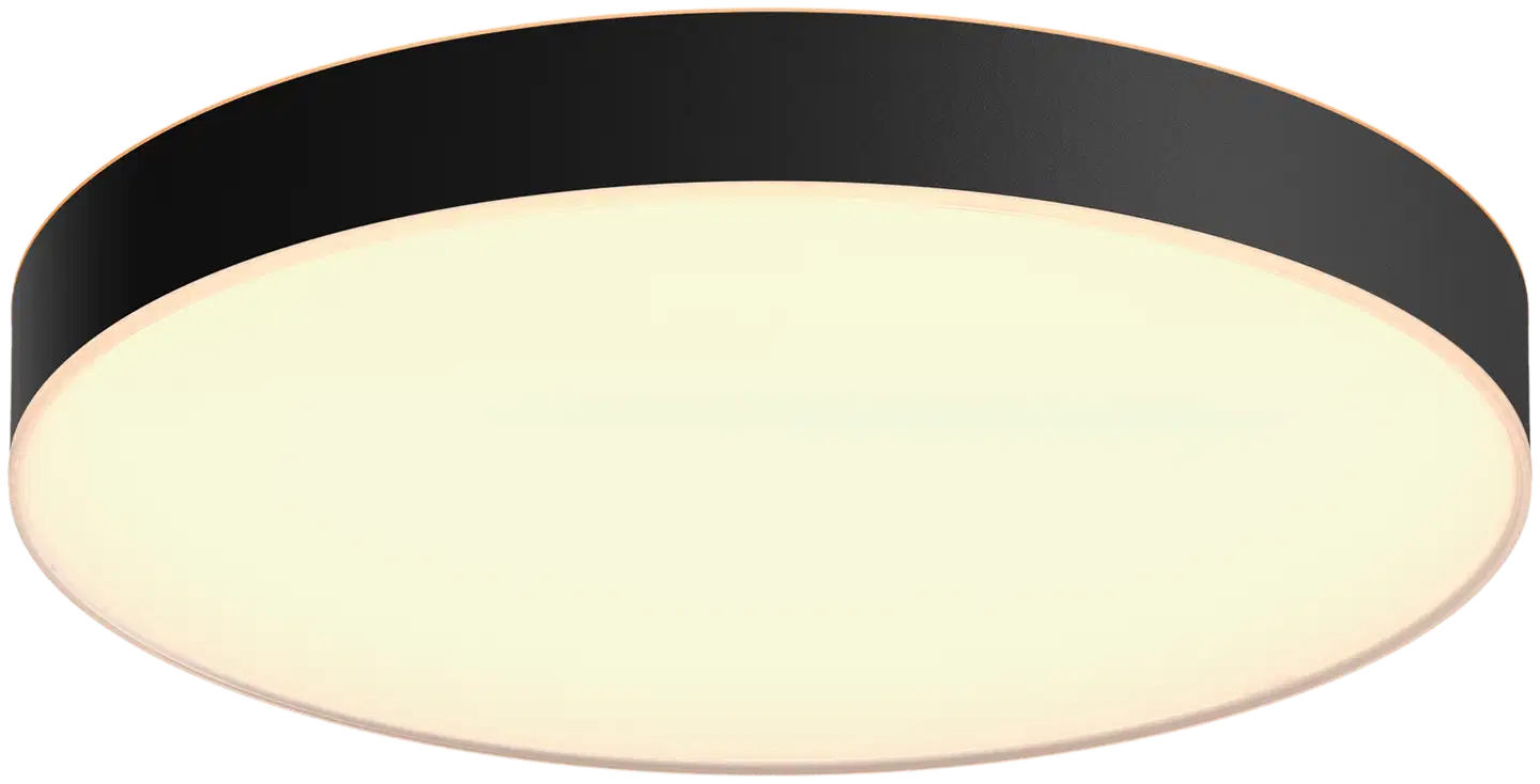 Philips Hue Enrave -kattovalaisin 48W 2200-6500K 6100LM XL musta - 1
