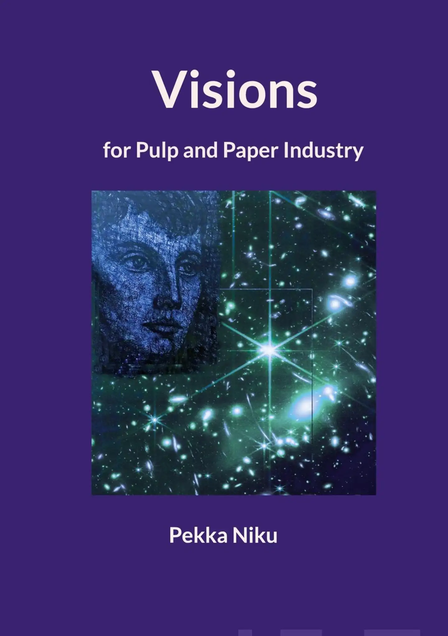 Niku, Visions for pulp and paper industry
