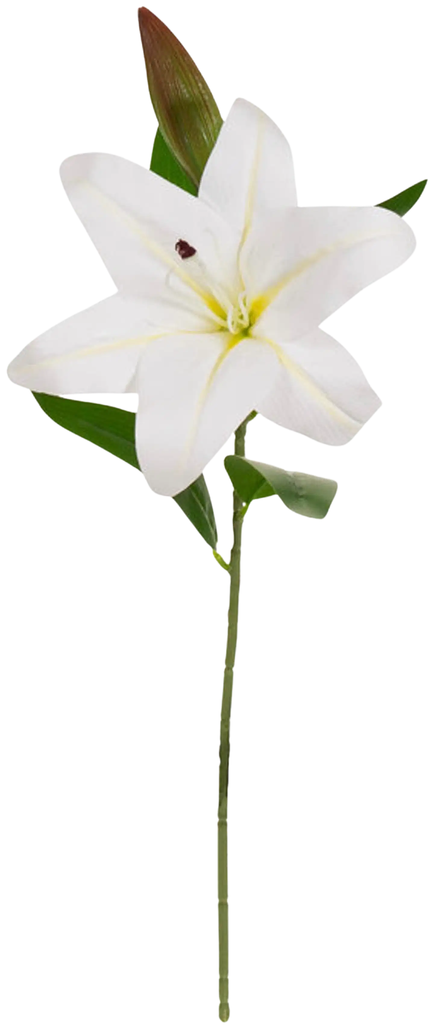 AmandaB liljanoksa valkoinen 52cm