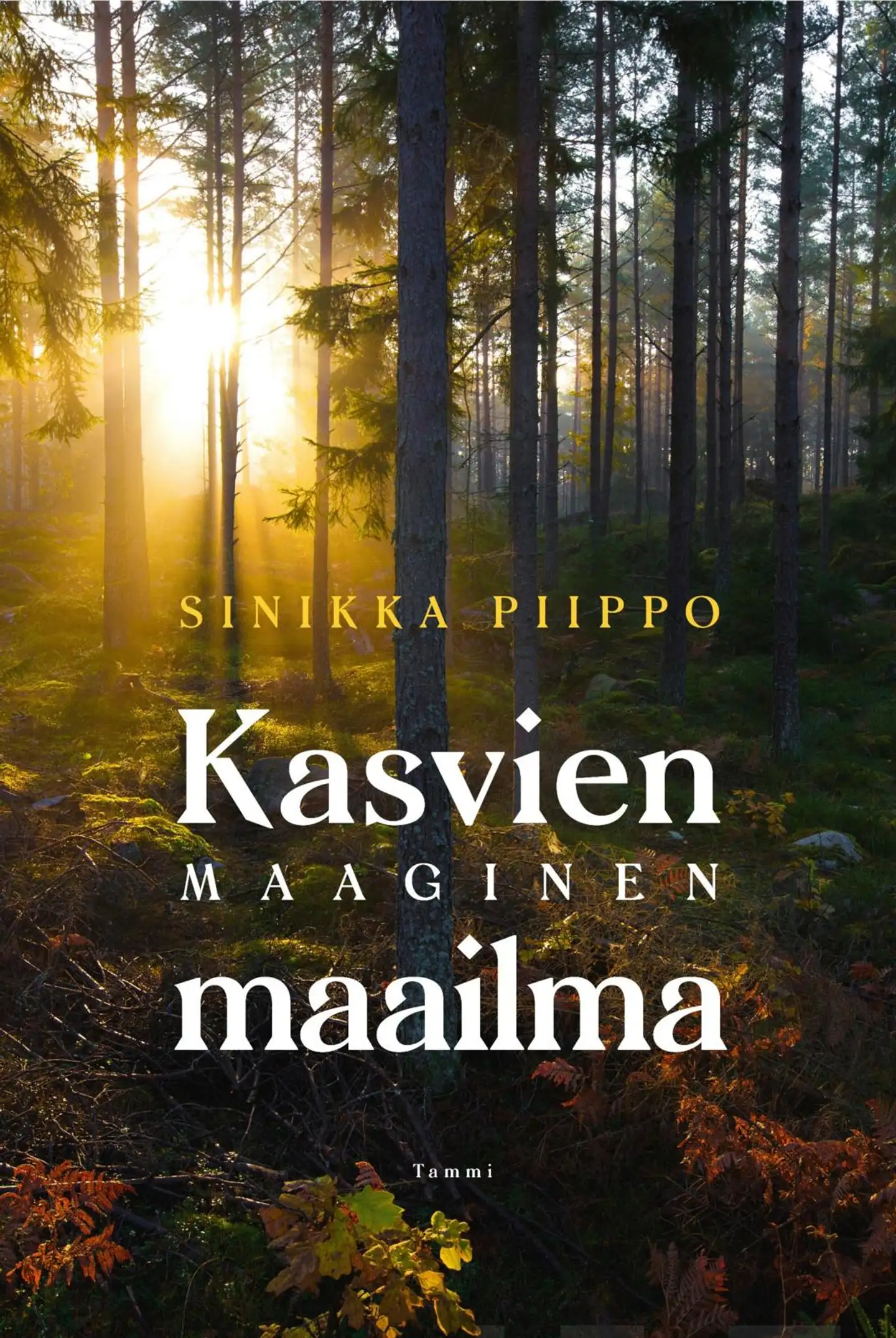 Piippo, Kasvien maaginen maailma