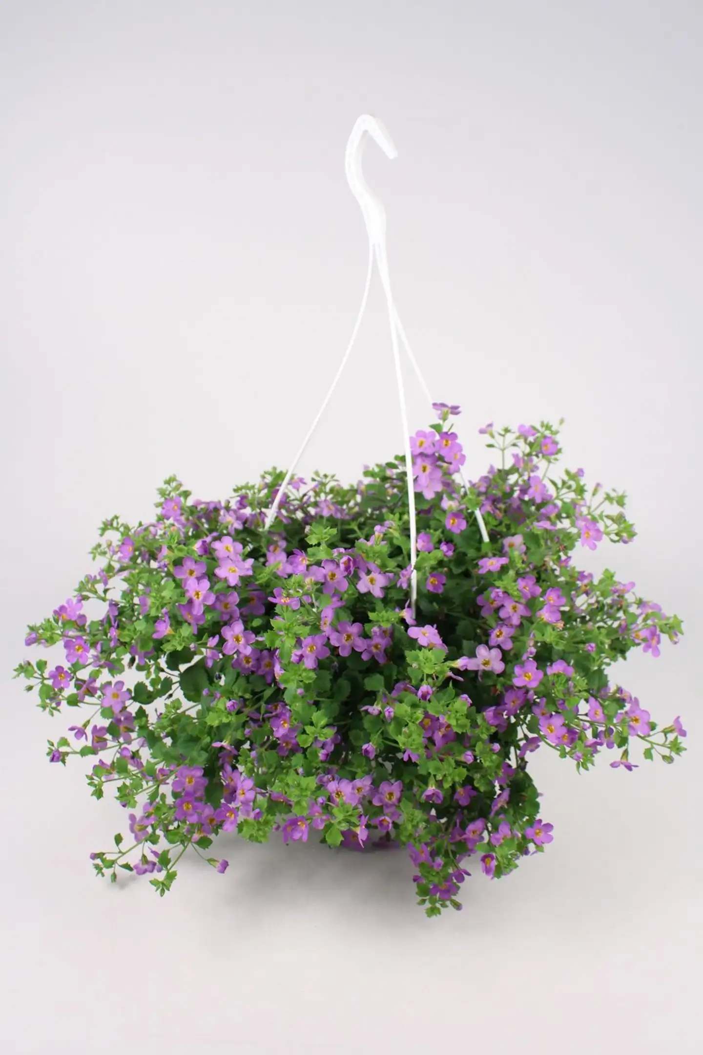 Lumihiutaleamppeli 23 cm - 3