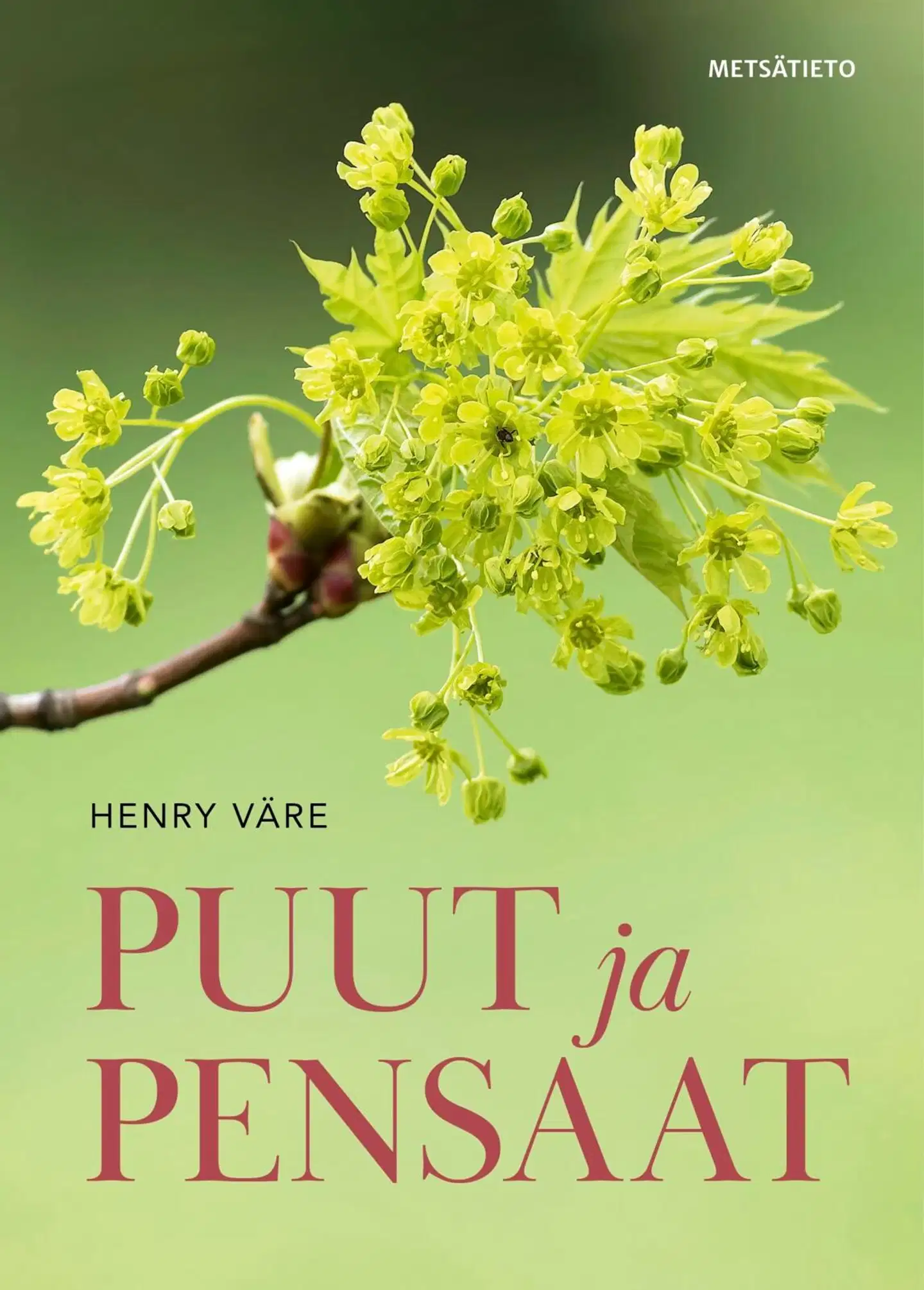 Väre, Puut ja pensaat