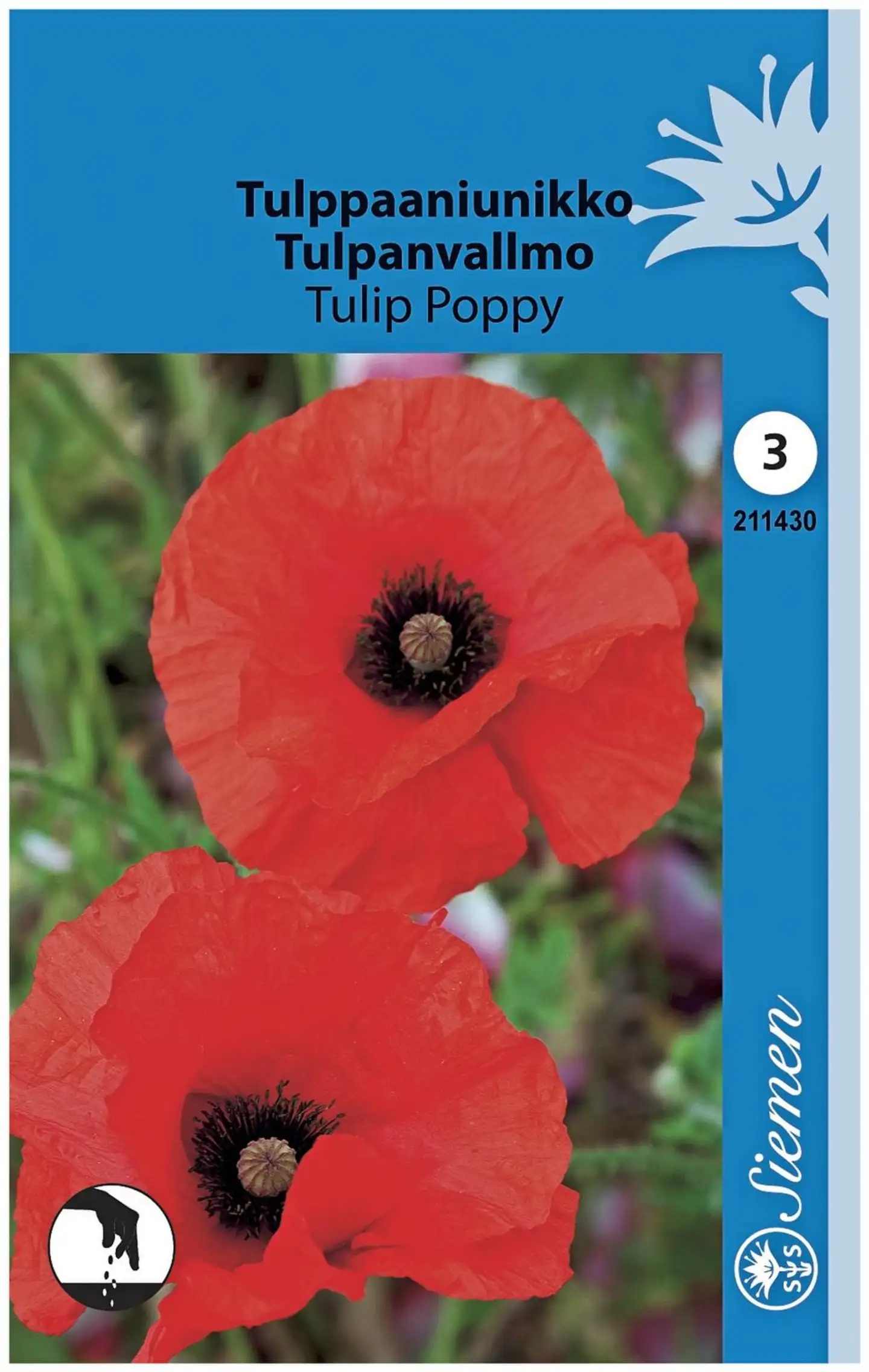 Tulppaaniunikko Tulip Poppy