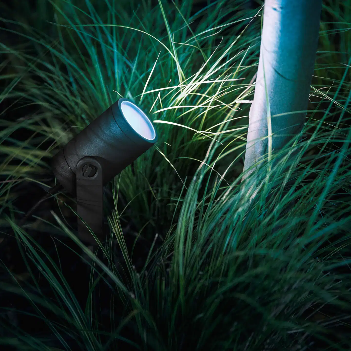 Philips Hue Lily -lisäkohdevalaisin 8W 2000-6500K 590LM musta säädettävä - 9