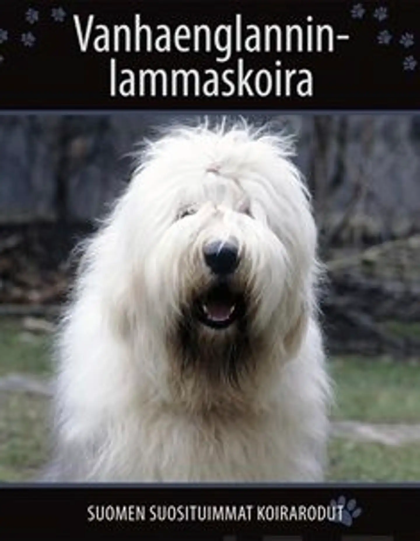 Vanhaenglanninlammaskoira