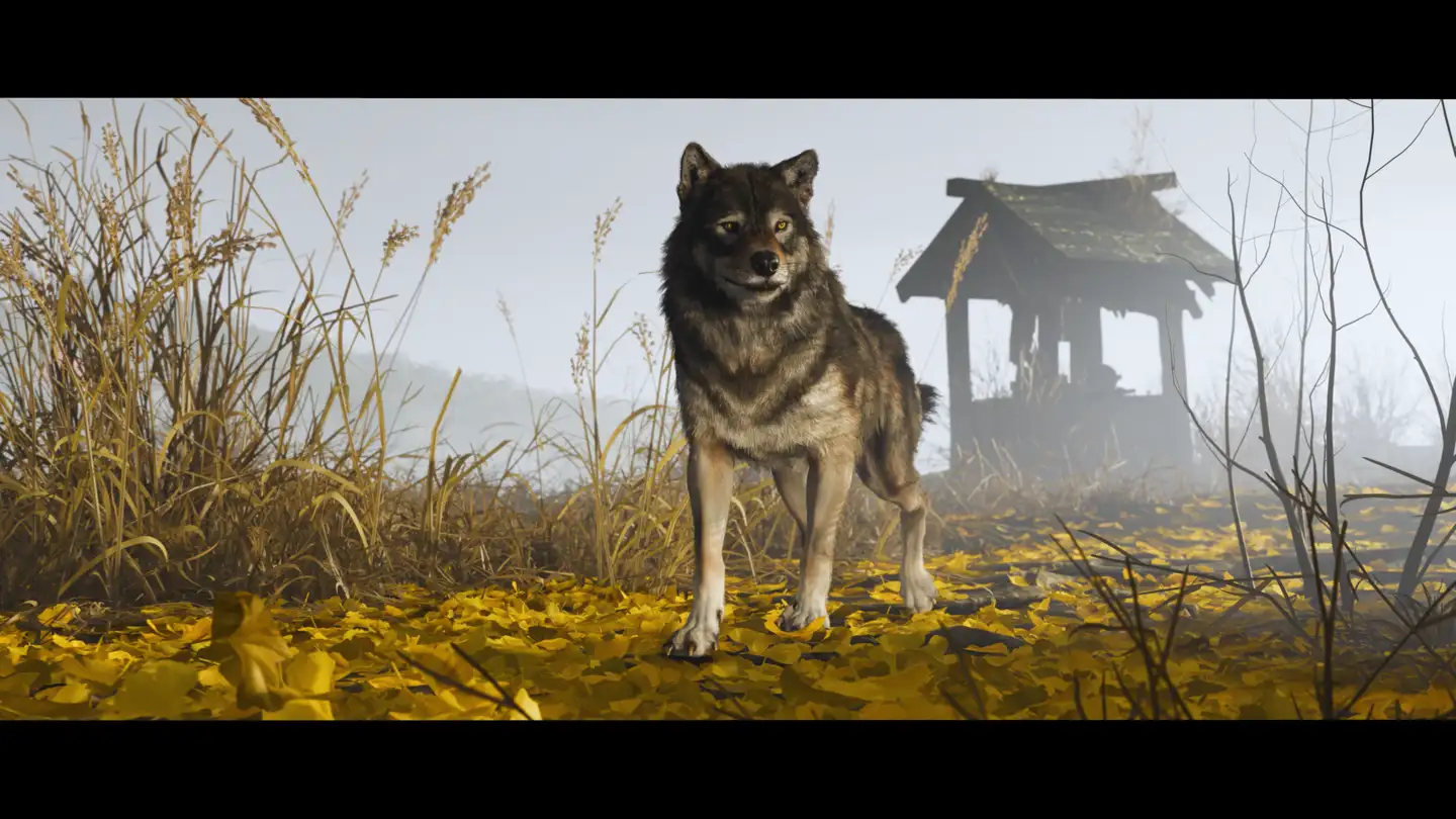 PS5 Ghost of Yotei - 4