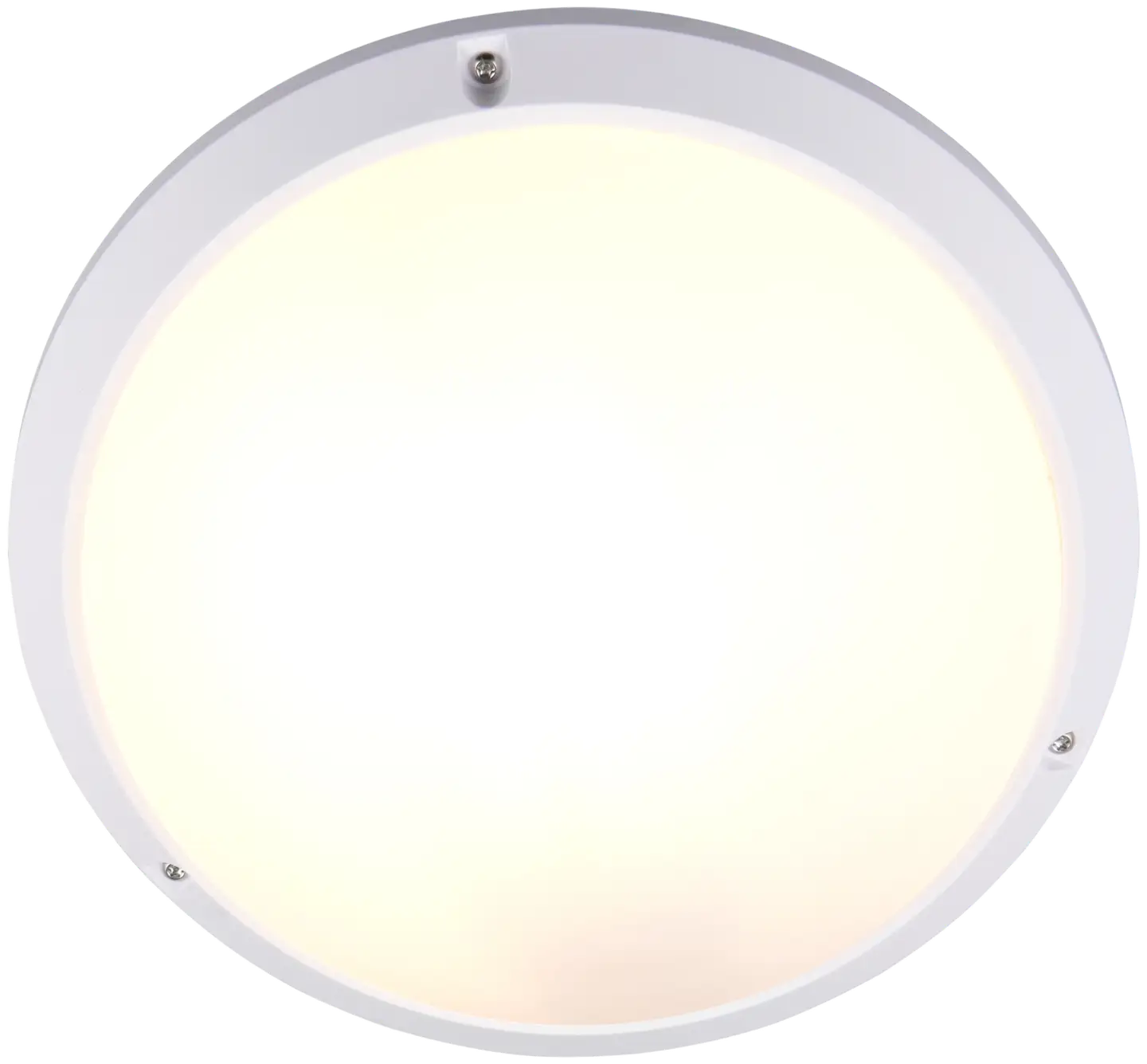 Trio ulkovalaisin Ambato 27 valkoinen IP65 iskunkestävä IK10 seinä- ja kattoasennus - 4