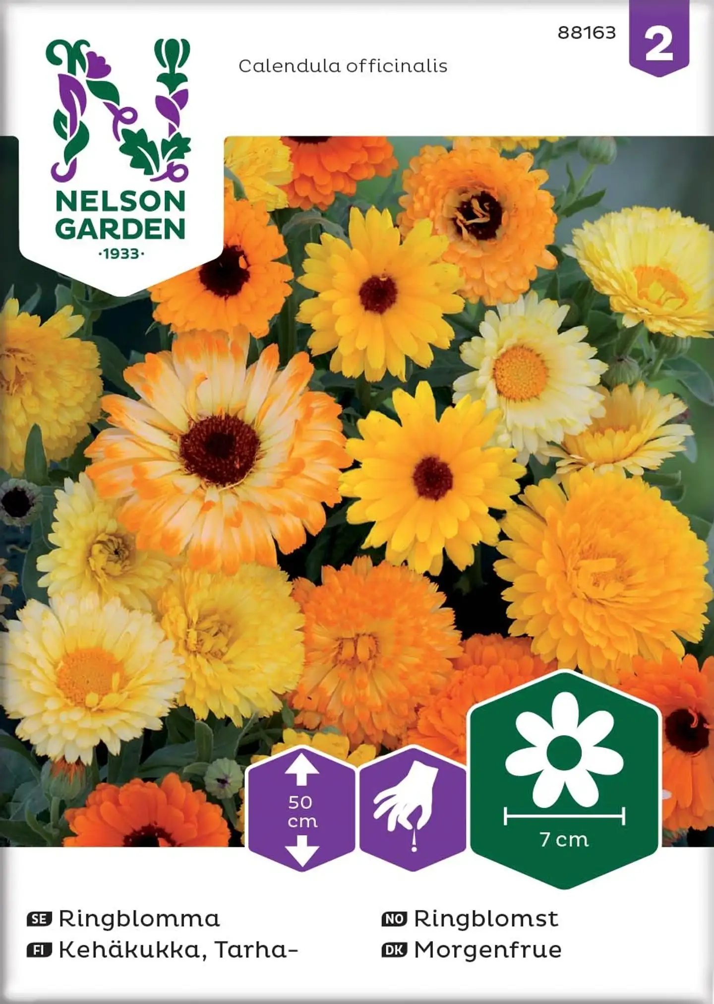 Nelson Garden Siemen Kehäkukka, Tarha-, väriseos