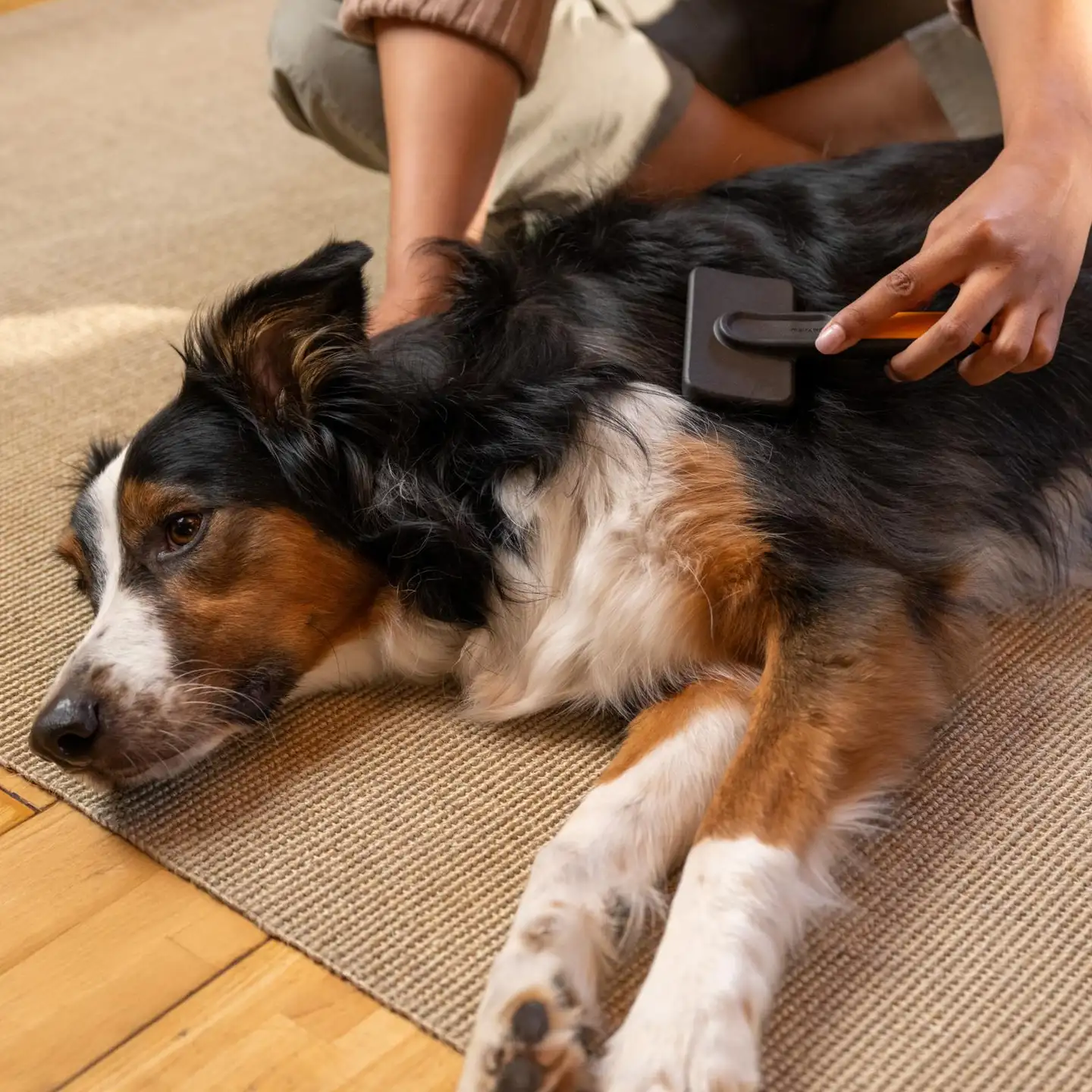 Fiskars lemmikin hierova harja - 5