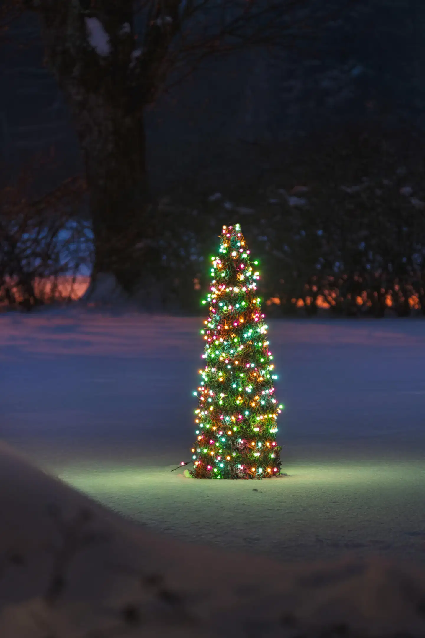 Konstsmide Valosarja 3678-505, Cluster 400 Candy color LED Cherry, Musta johto, IP44 - 5