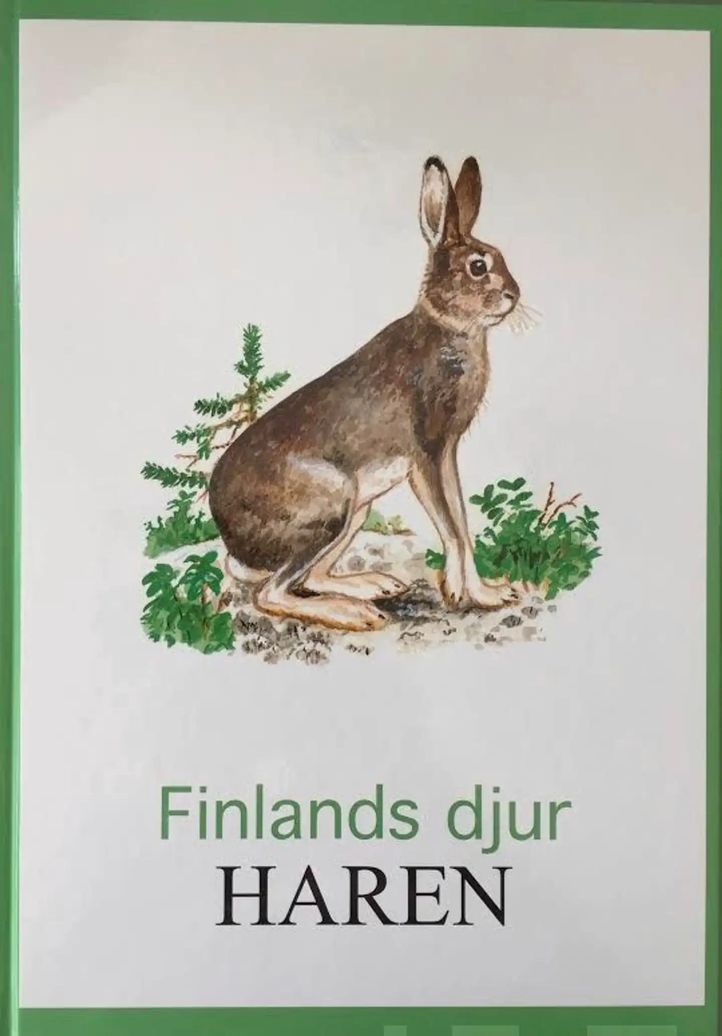 Leppäniemi, Haren