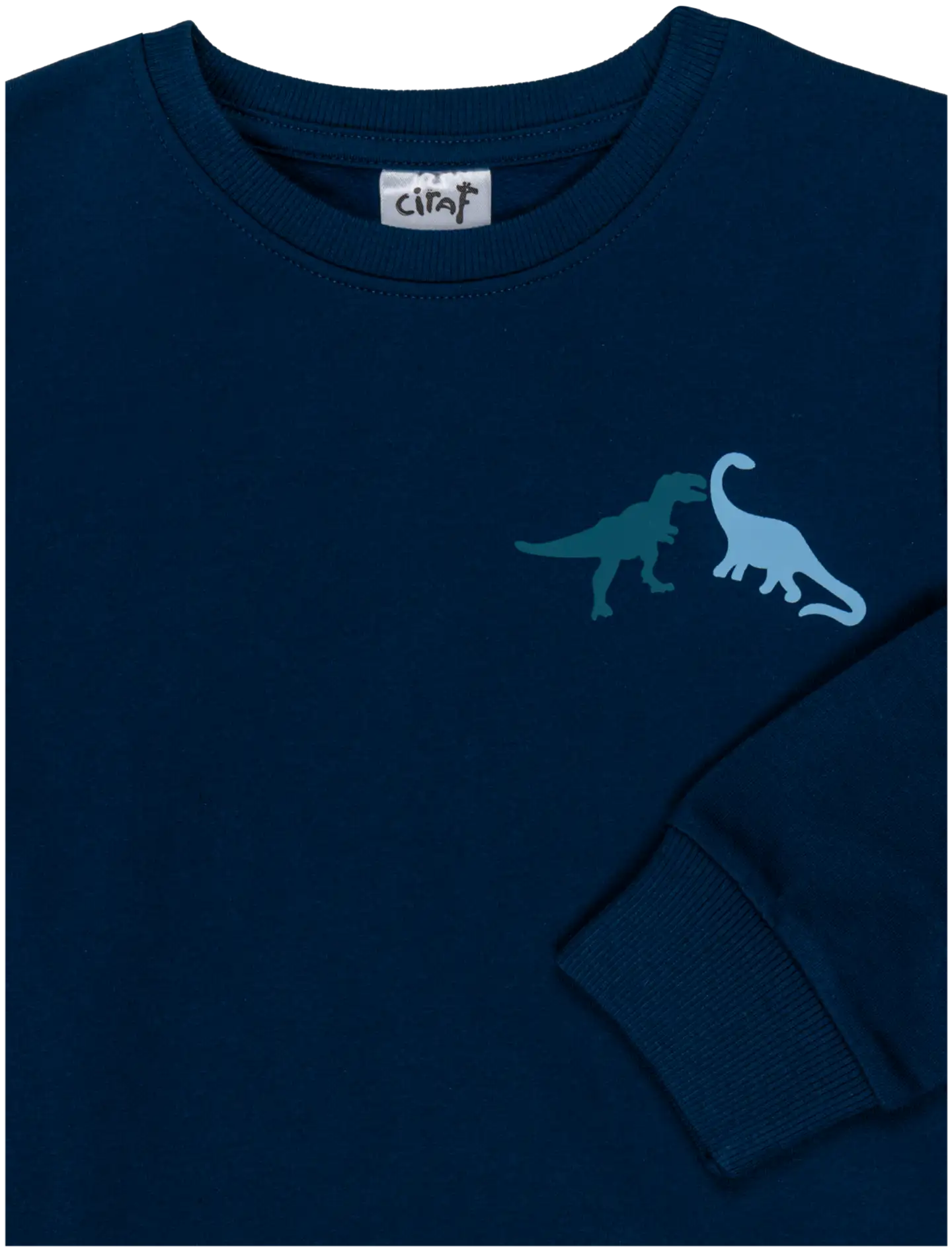 Ciraf lasten collegepaita dinot 25PC260217 - Titan 19-4128 Tcx - 3