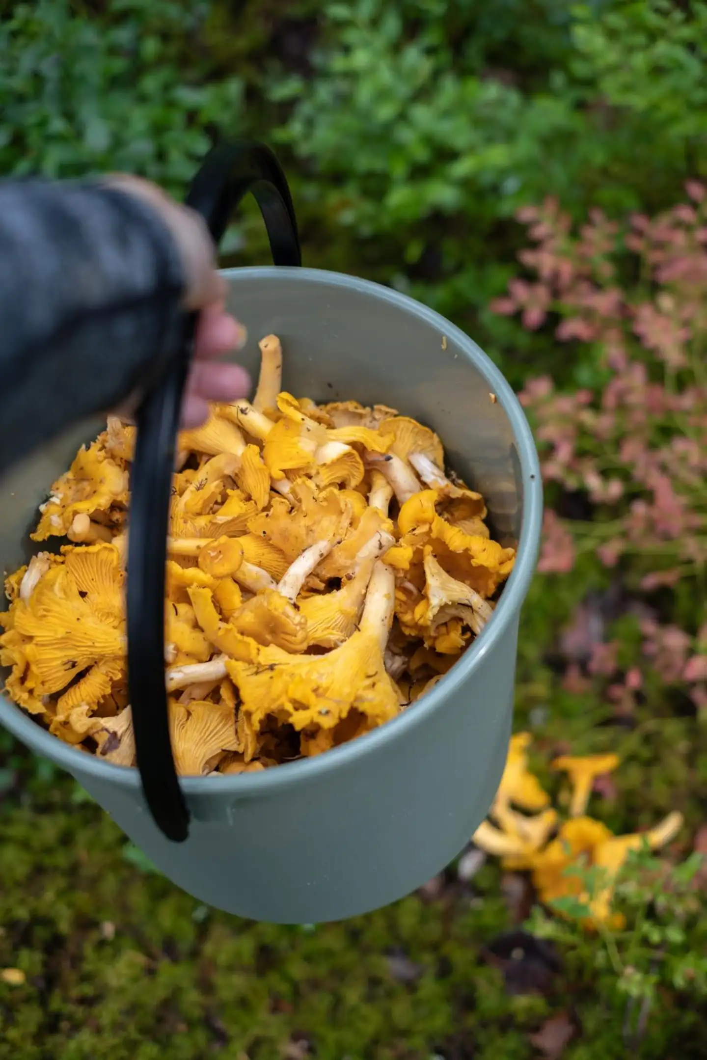 Orthex sanko 10 L - 3