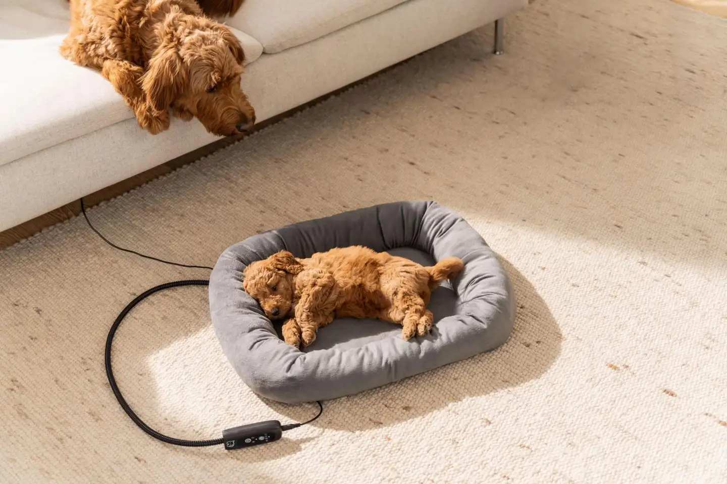 Beurer PP250 Kira lämmitettävä lemmikin sänky - 12