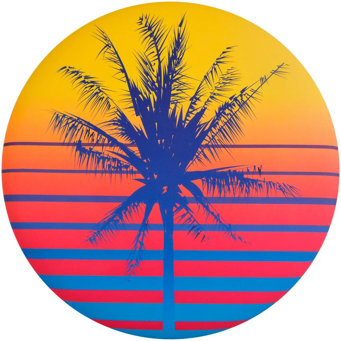 Toyrock Frisbee Waboba Wingman - 2