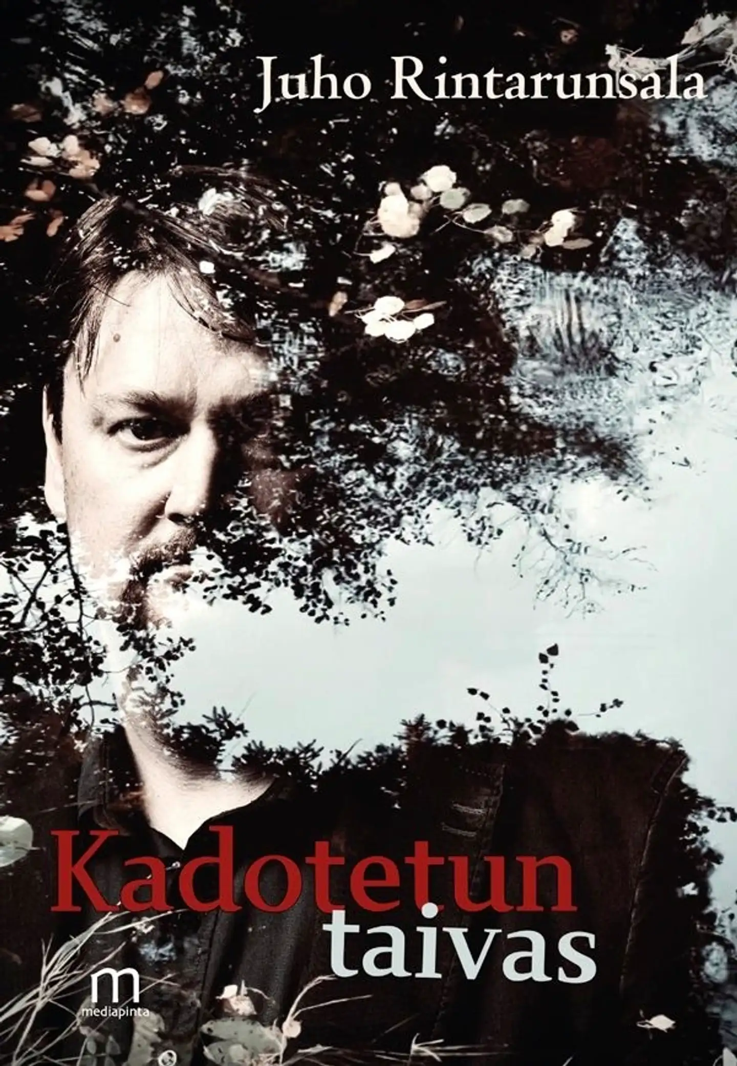 Rintarunsala, Kadotetun taivas