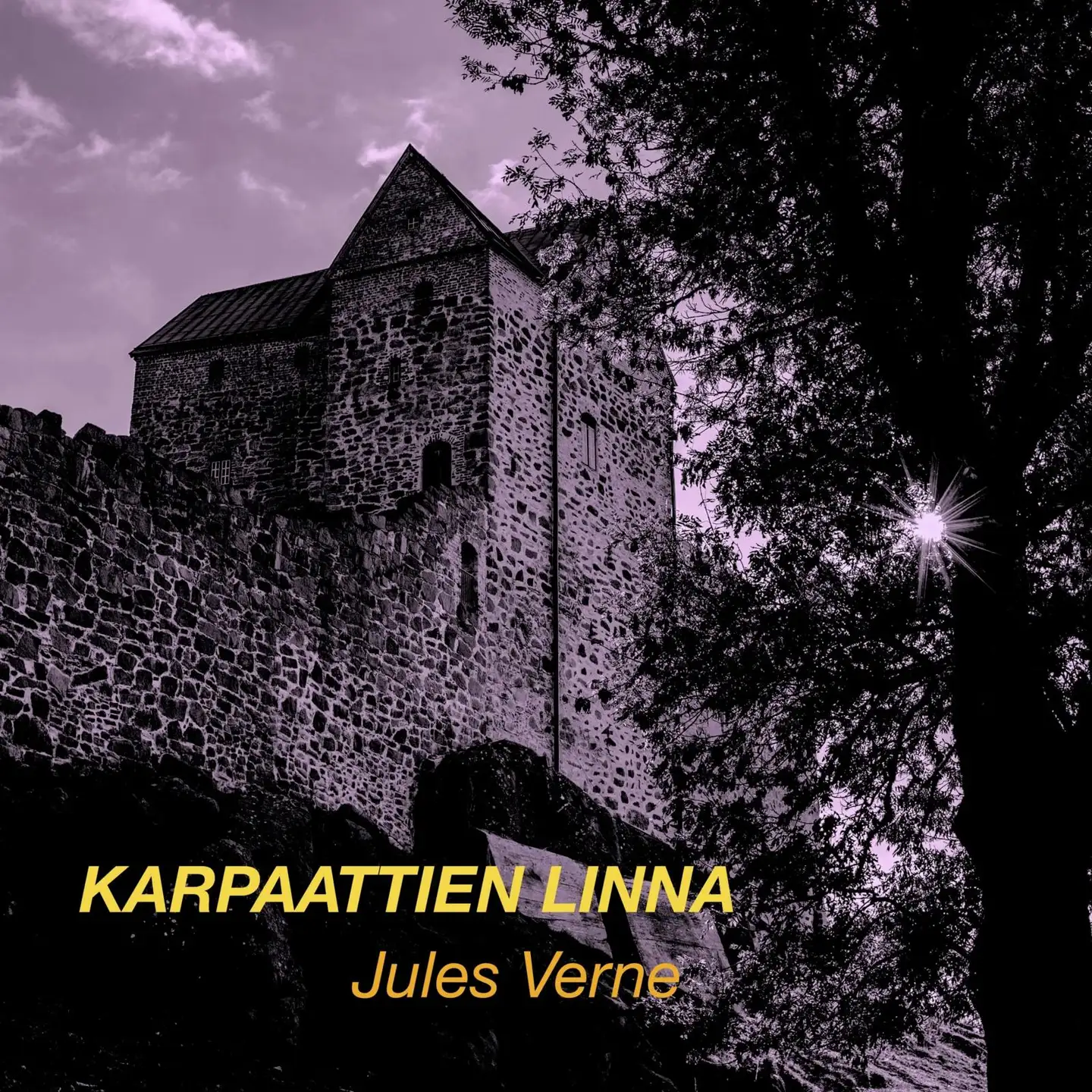 Verne, Karpaattien linna (mp3-cd)