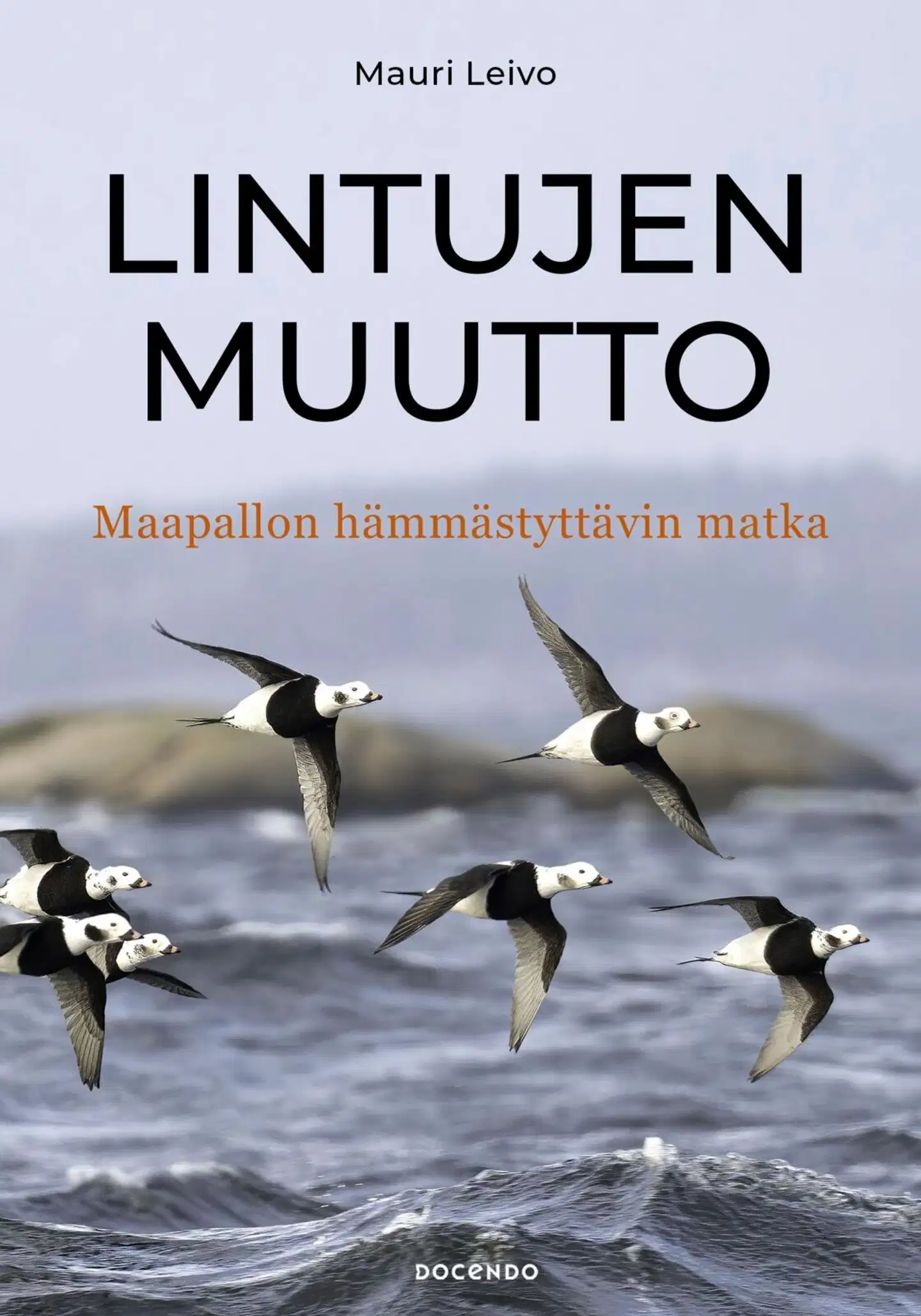 Leivo, Lintujen muutto – Maapallon hämmästyttävin matka