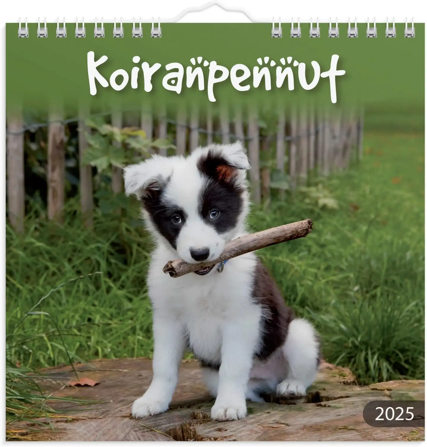 Burde Vuosikalenteri 2025 Koiranpennut - 1