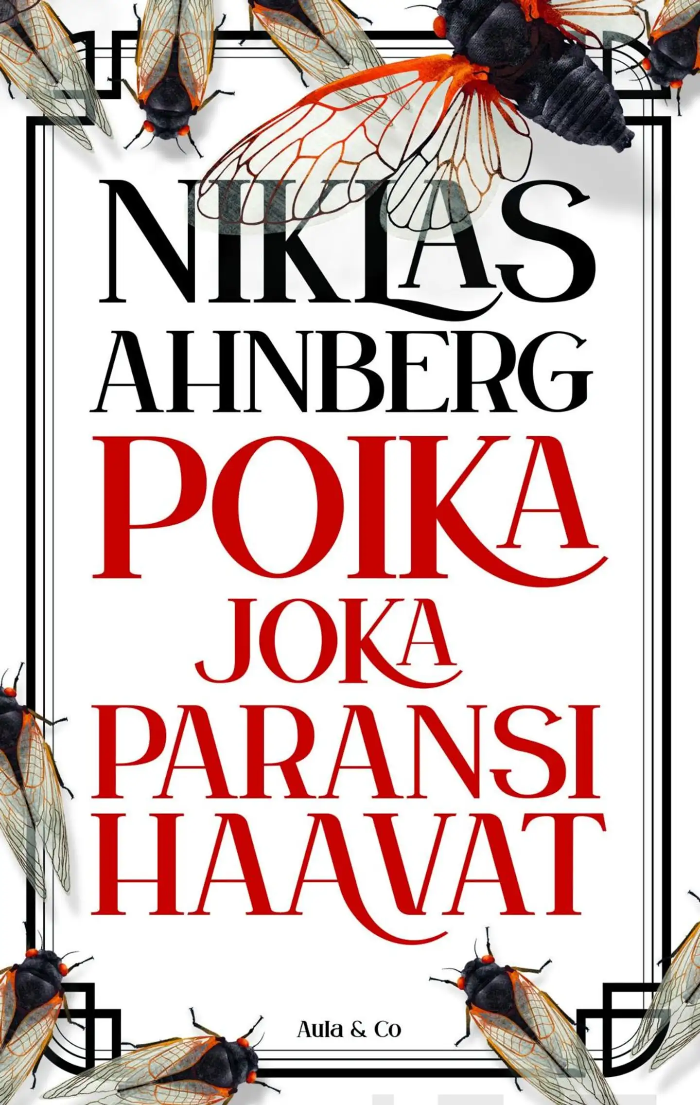 Ahnberg, Poika joka paransi haavat