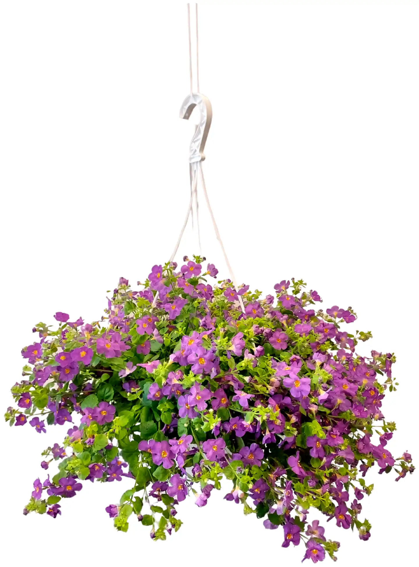 Heimosen Puutarha Lumihiutale-amppeli 23cm - 2
