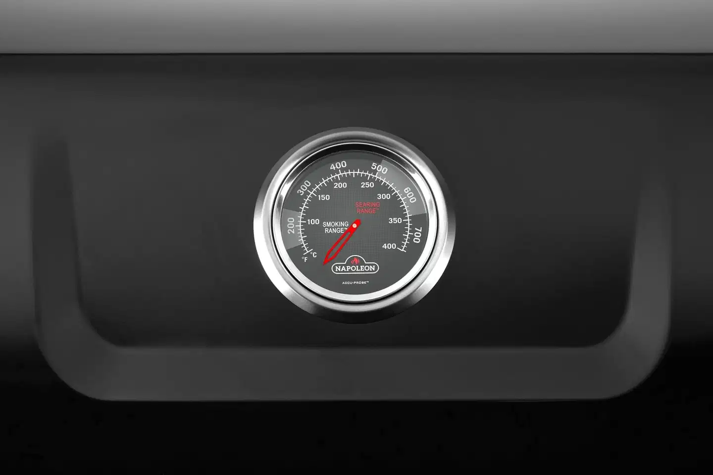 Napoleon Freestyle F365-D kaasugrilli - 11