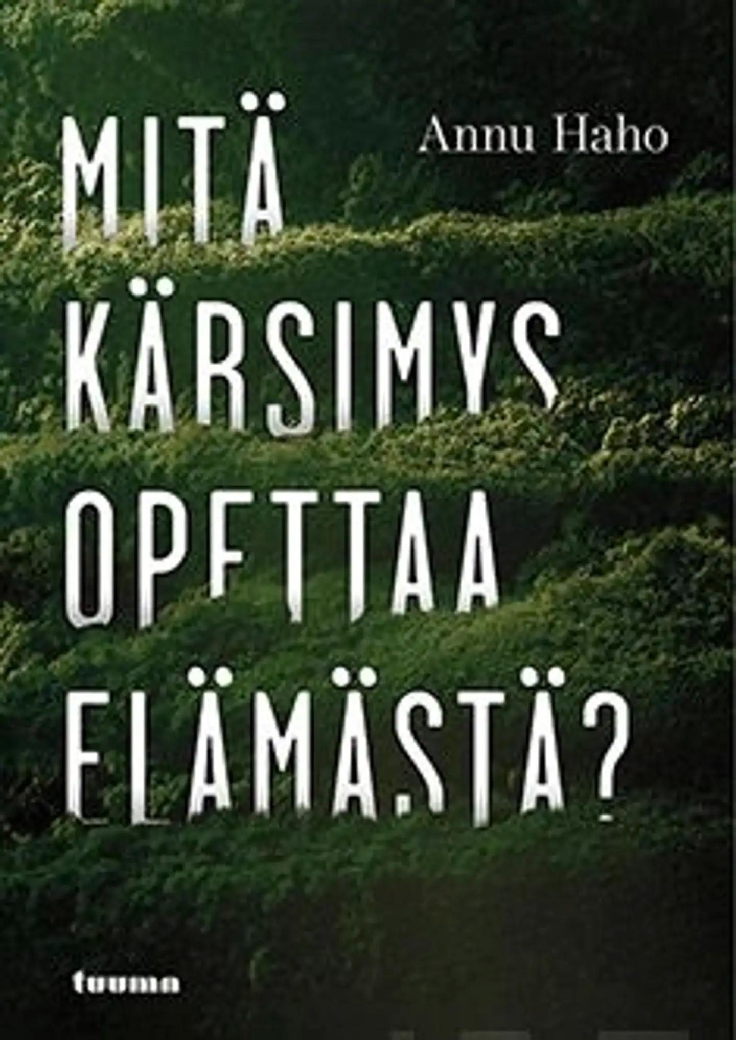 Haho, Mitä kärsimys opettaa elämästä?