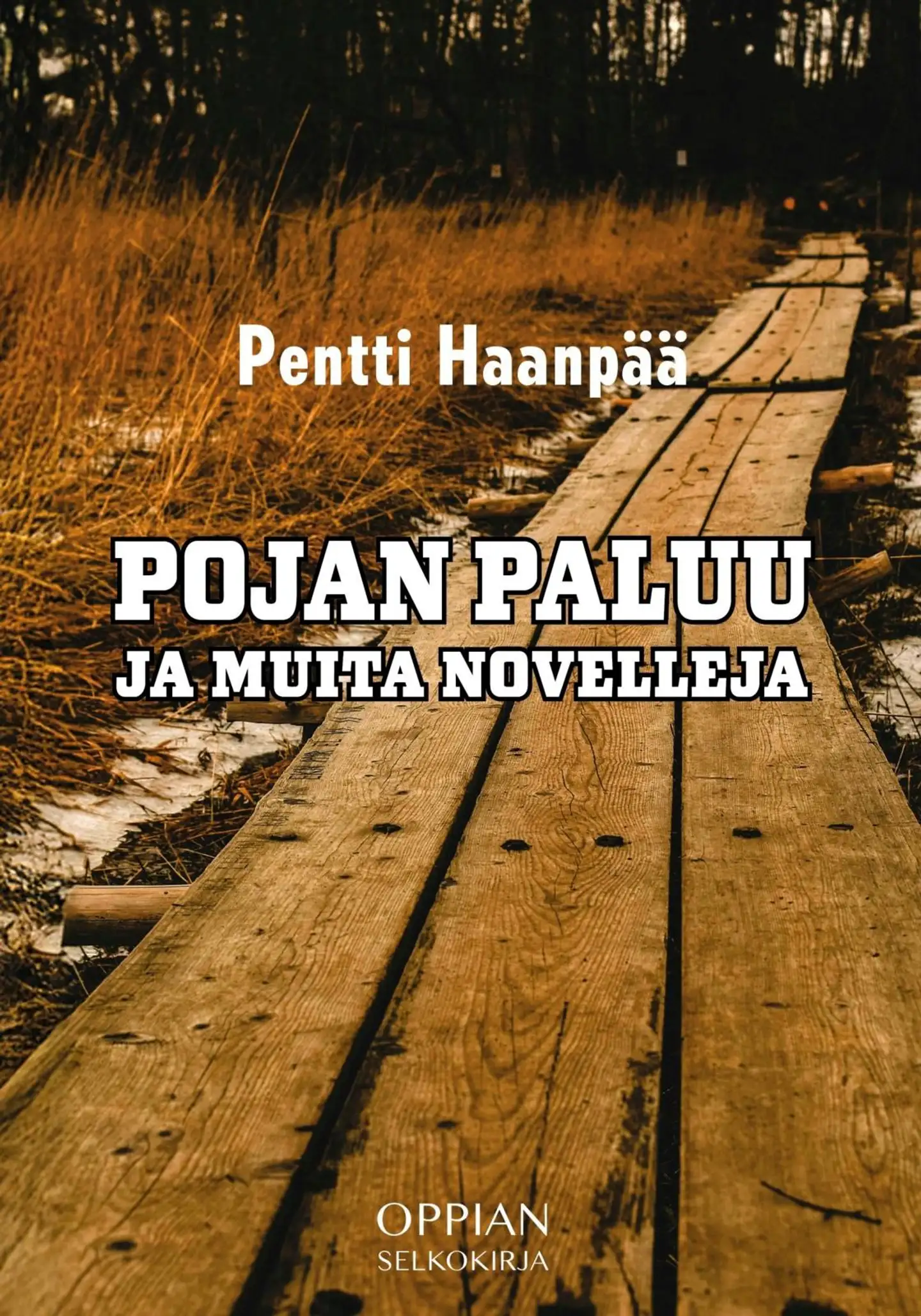 Haanpää, Pojan paluu ja muita novelleja (selkokirja)