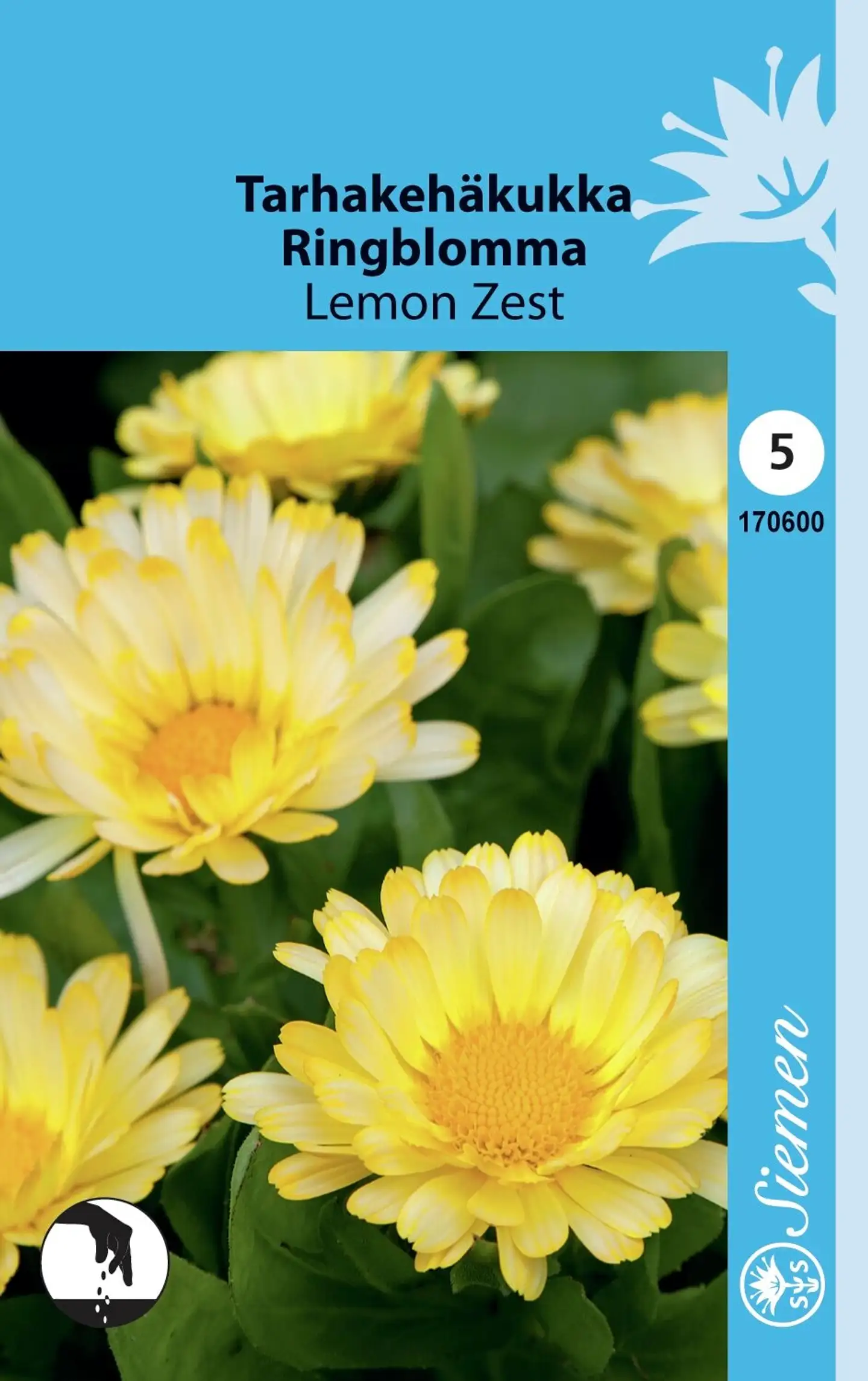 Tarhakehäkukka Lemon Zest