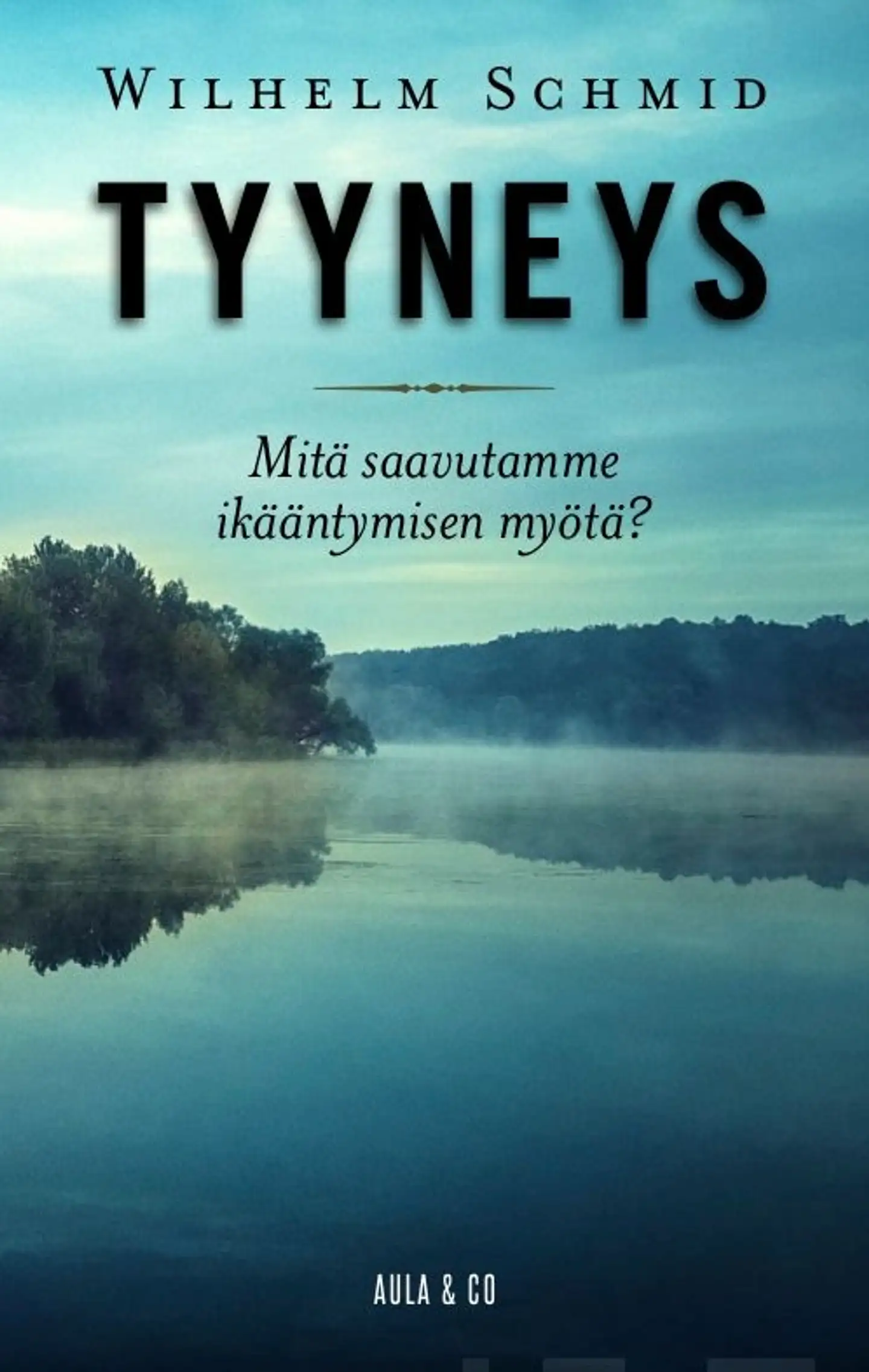 Schmid, Tyyneys - Mitä saavutamme ikääntymisen myötä?