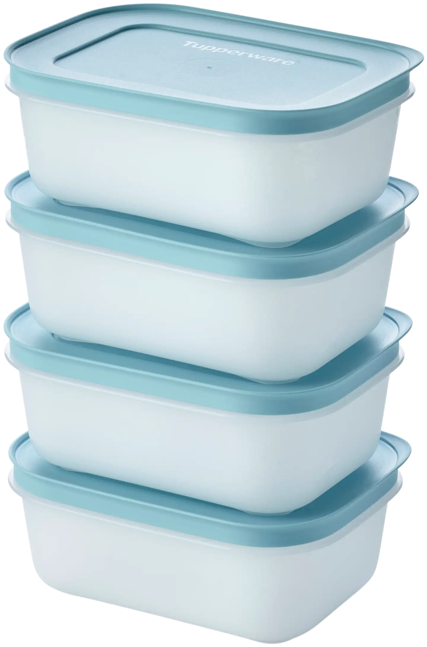 Tupperware rasiasetti FreezerSmart 4 x 450 ml - 1