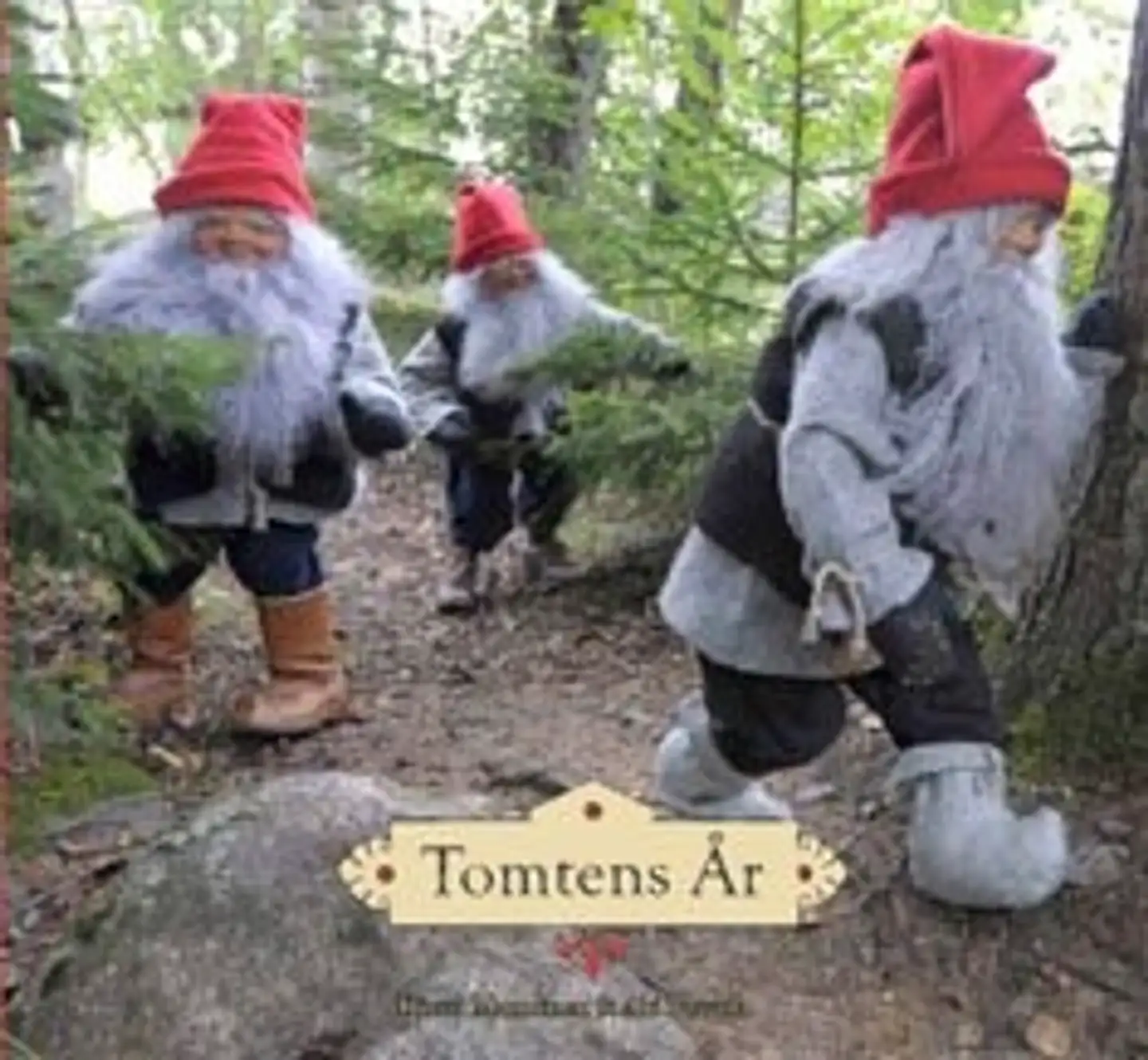 Tomtens år