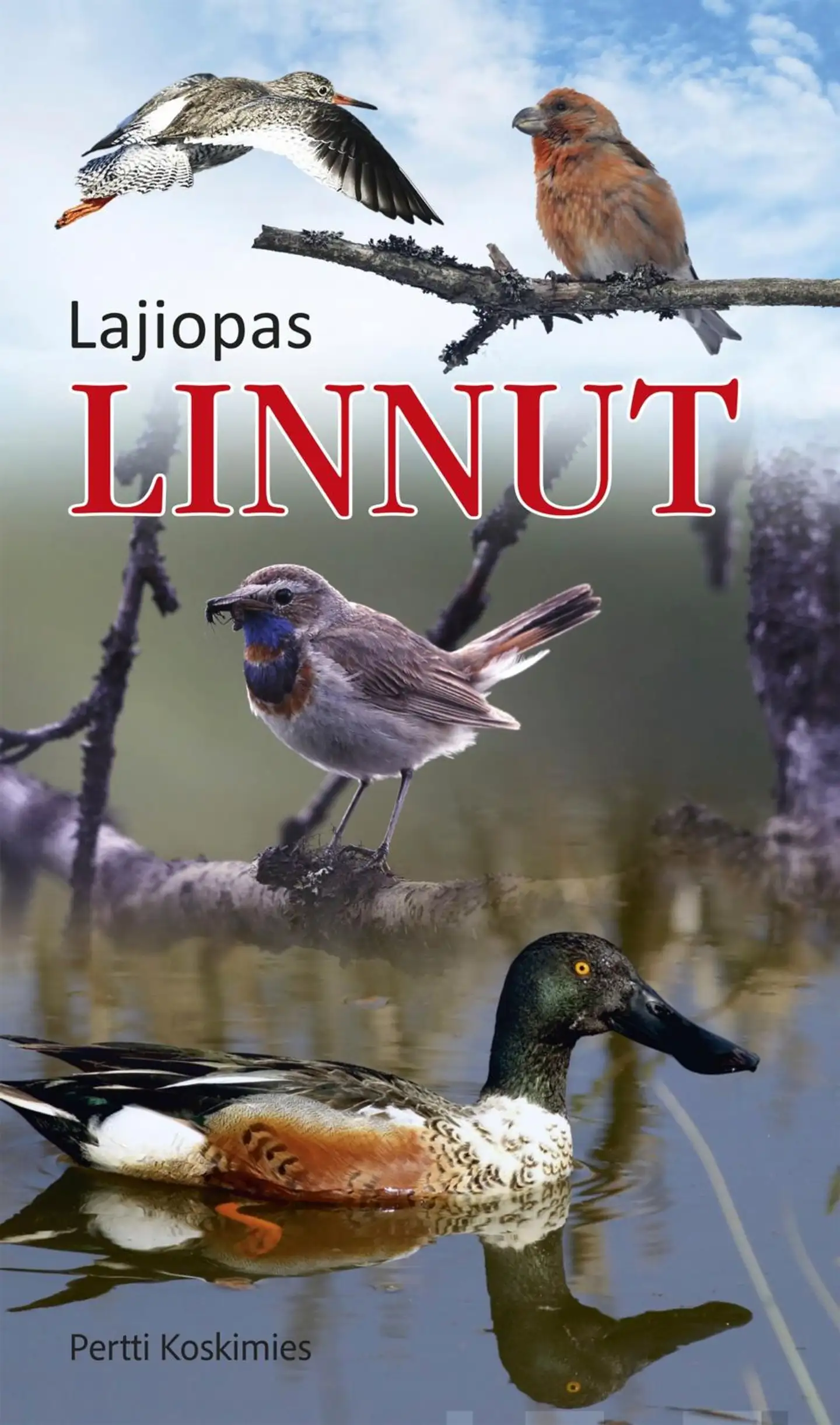 Koskimies, Linnut - Lajiopas