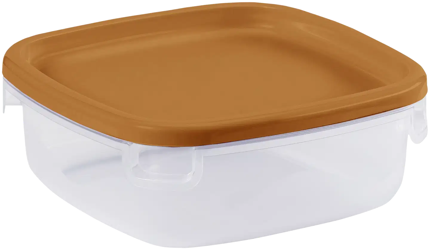 SmartStore™ Easy ruoansäilytysrasia 1,1 L