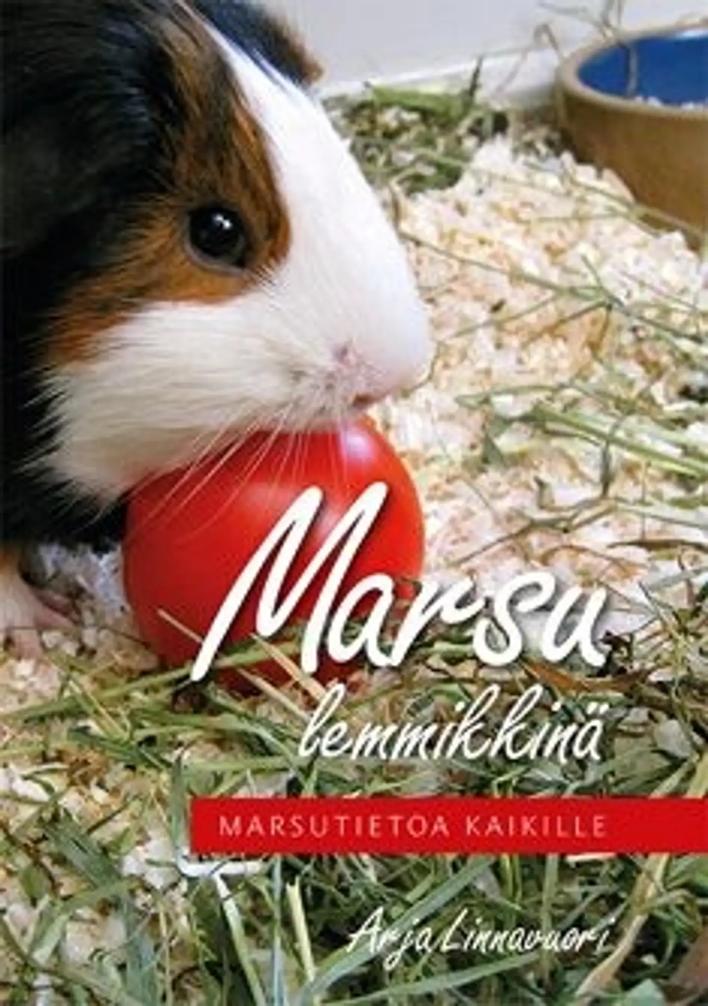 Linnavuori, Marsu lemmikkinä - marsutietoa kaikille