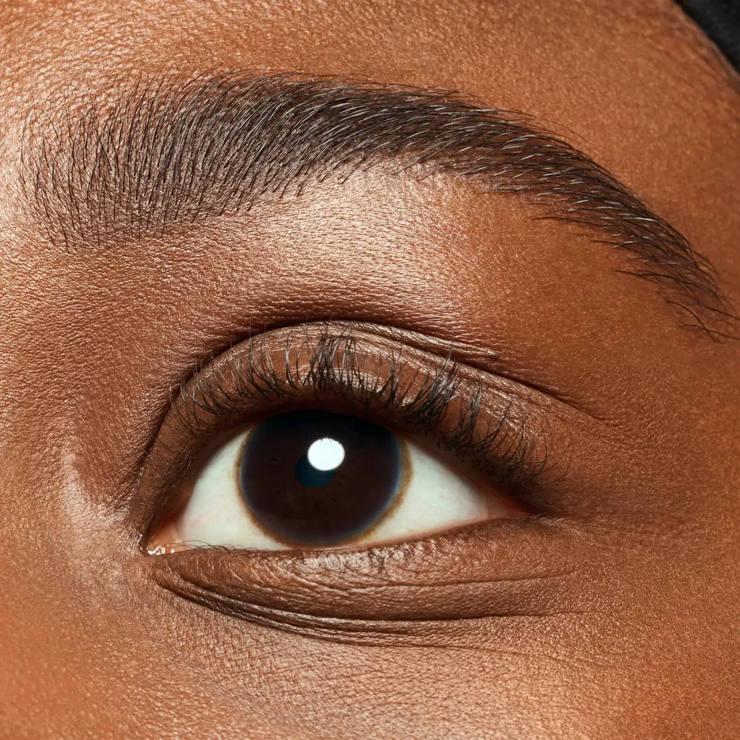 essence brow powder duo set  1.8 g - Dark - 5