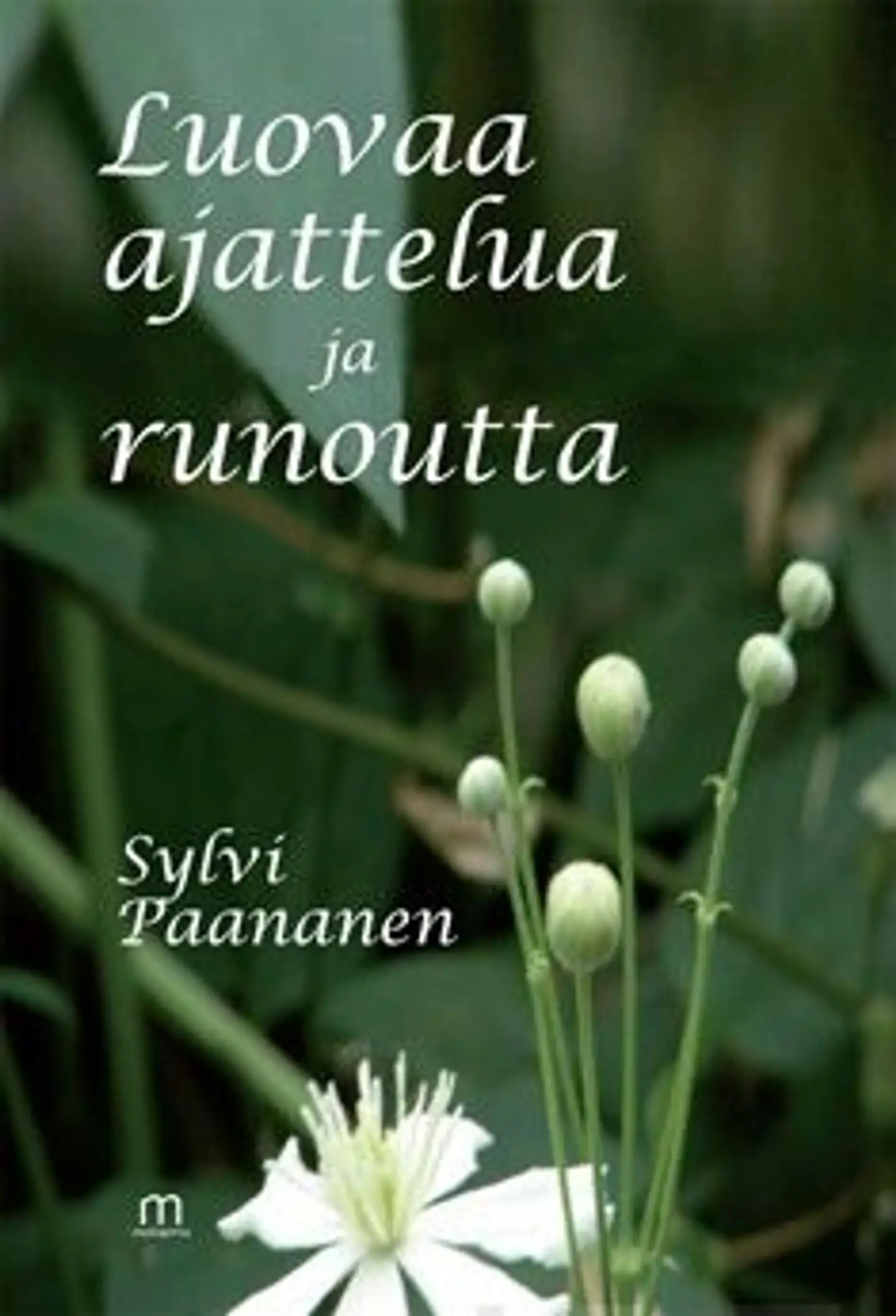 Paananen, Luovaa ajattelua ja runoutta