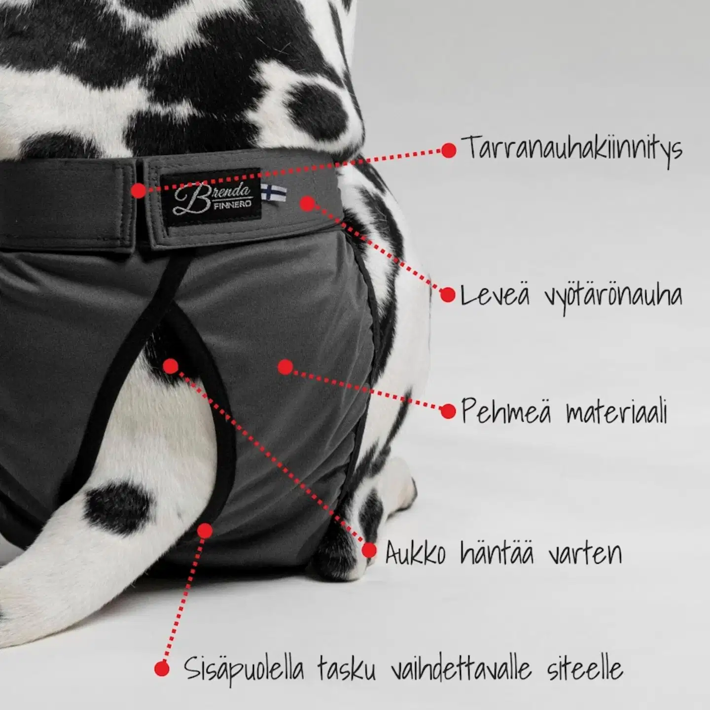Finnero brenda pestävä narttusuoja koiralle harmaa l - Harmaa - 4
