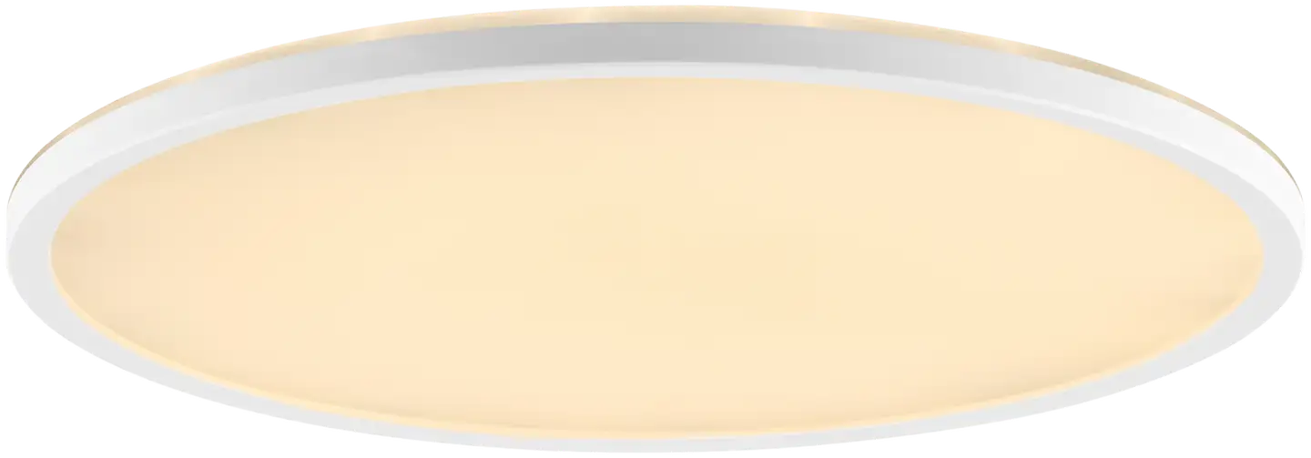 Avola LED/DE/22W/3000lm/CCT/DIM/NL/TIM/RC/VE4 - 12