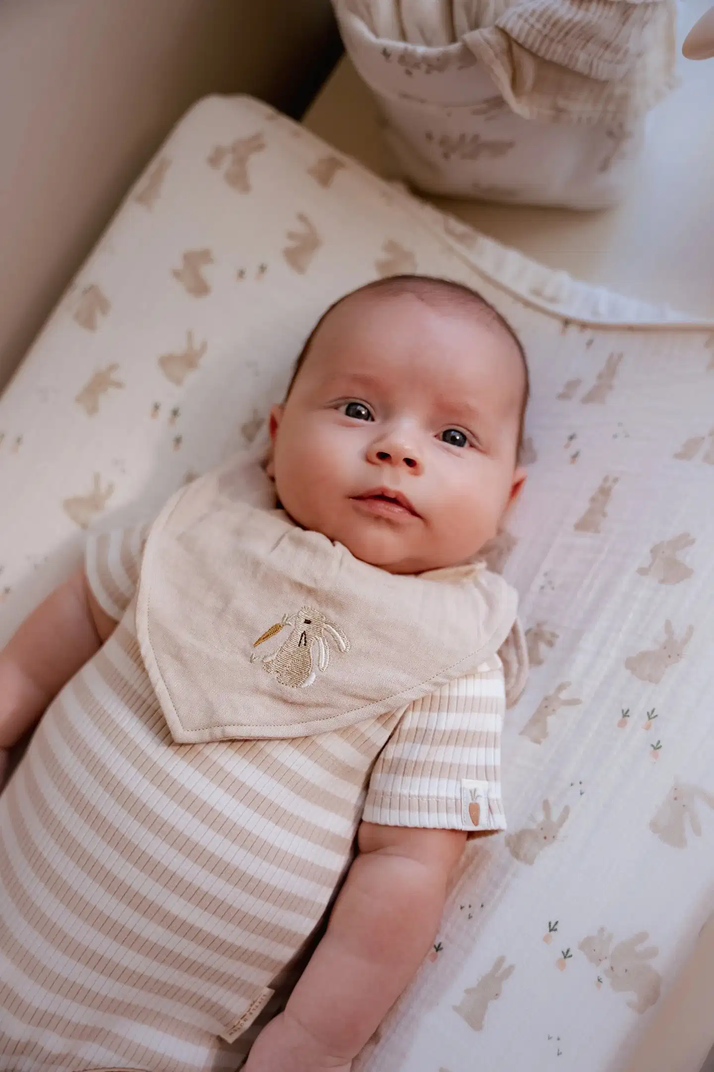 Hoitoalustanpäälinen Baby Bunny - 2