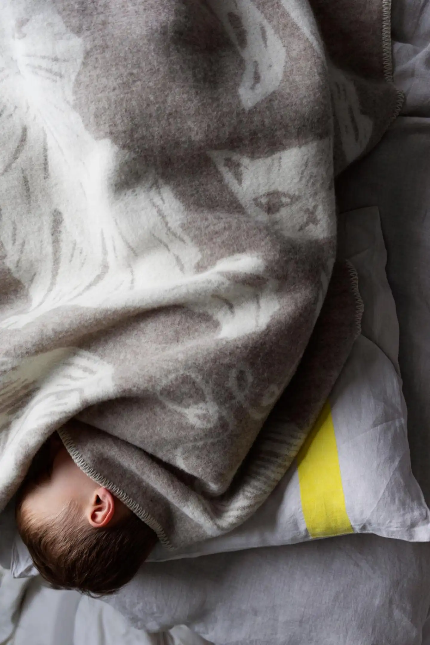 Lapuan Kankurit huopa Kissanpäivät 130x180 cm beige - 6