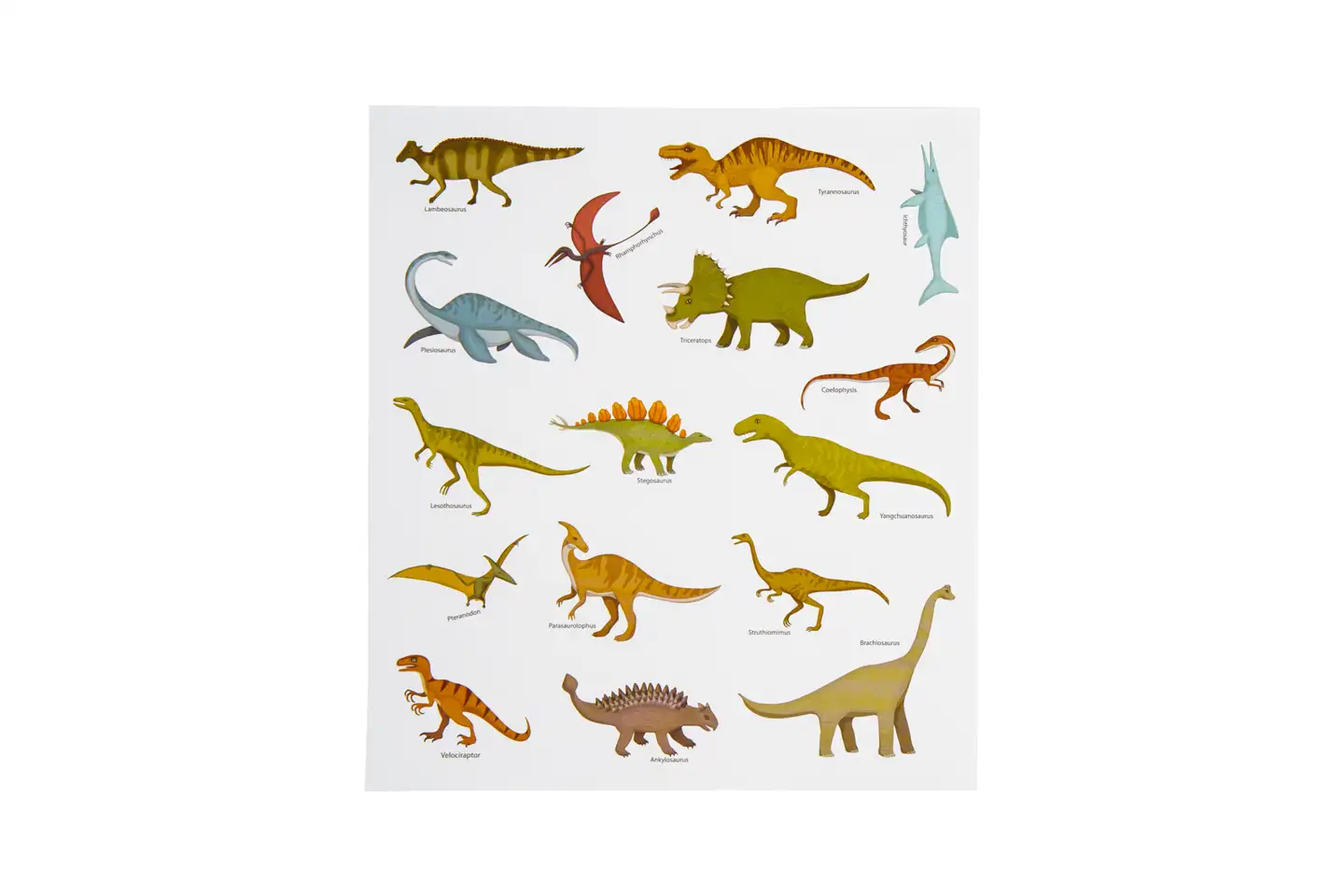 Tarra dinosaurus HR70 - 2