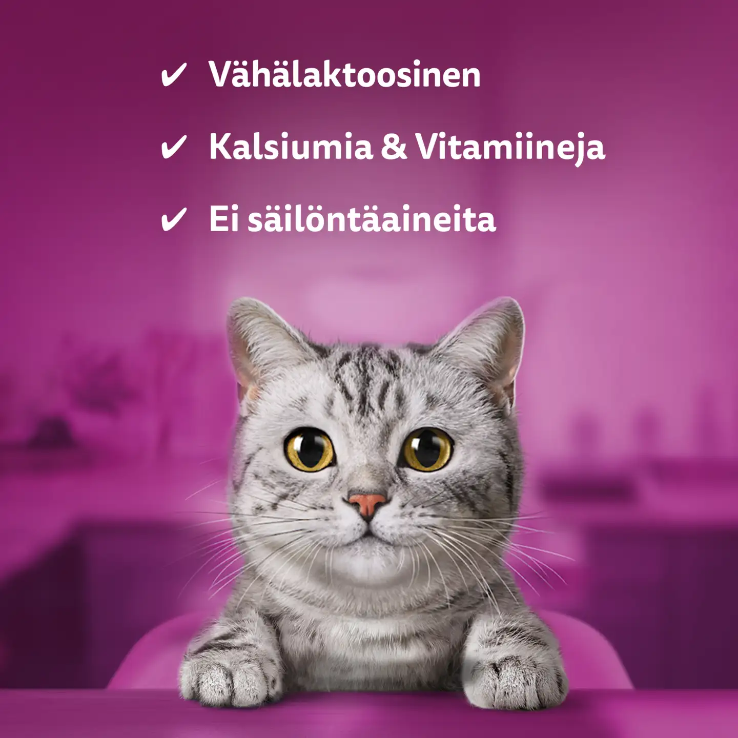 Whiskas Kissanmaito 3x200ml - 3