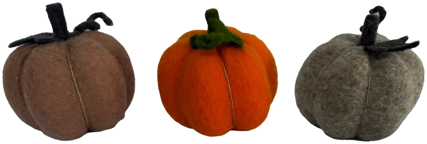 Kurpitsa, 3 väriä, erilaisia