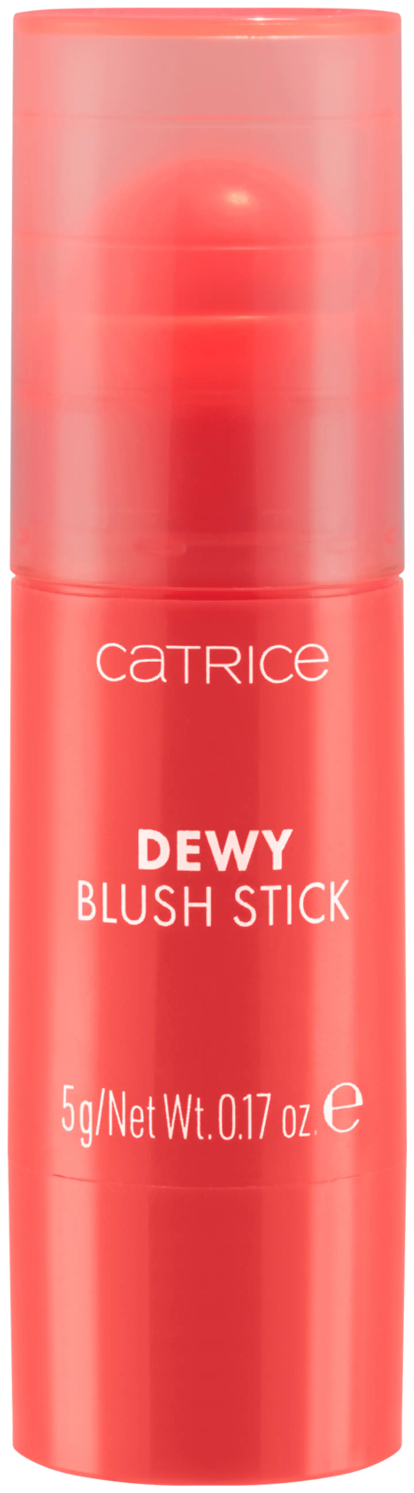 Catrice Dewy Blush Stick 010 Sheen On You 5 g - 1