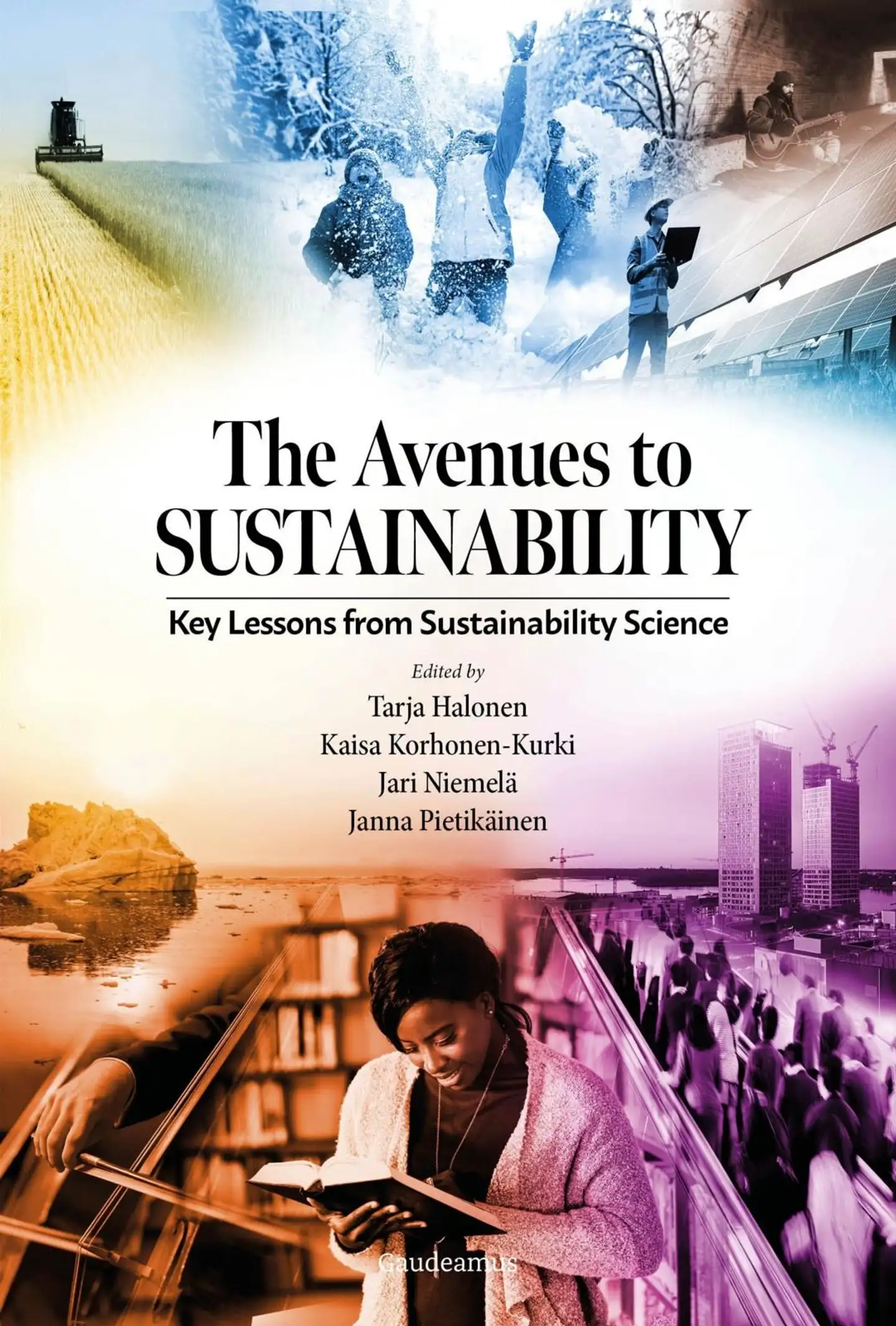 The Avenues to Sustainability - Key Lessons from Sustainability Science