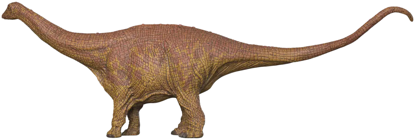 Schleich Brontosaurus - 2